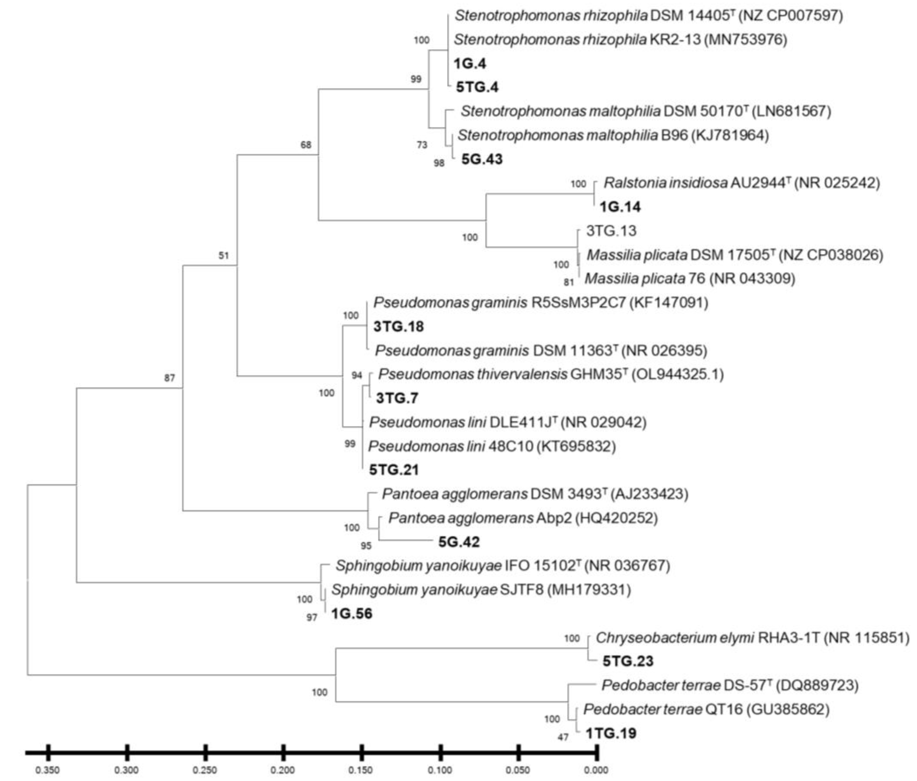 Sustainability 15 00598 g002