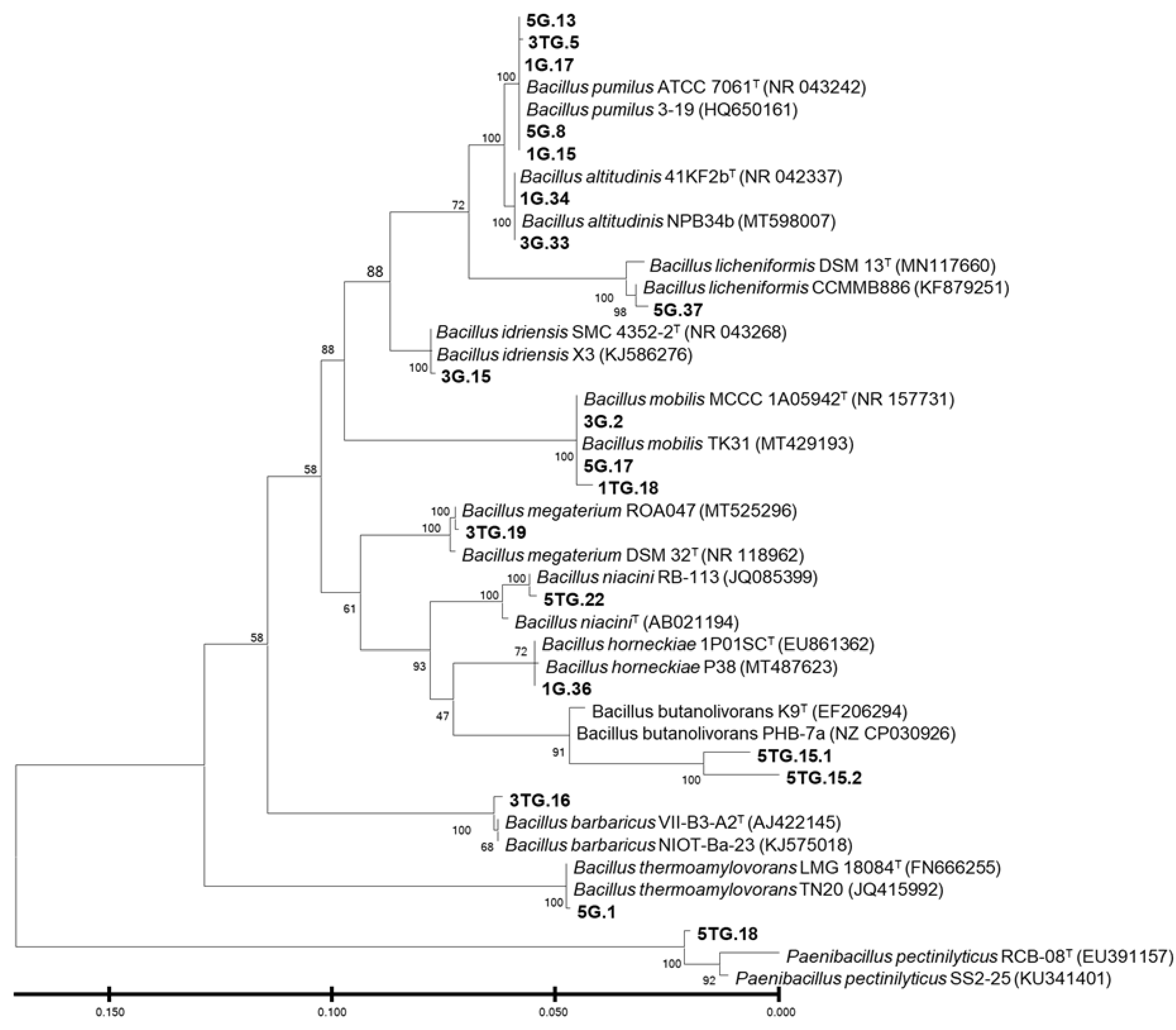 Sustainability 15 00598 g003