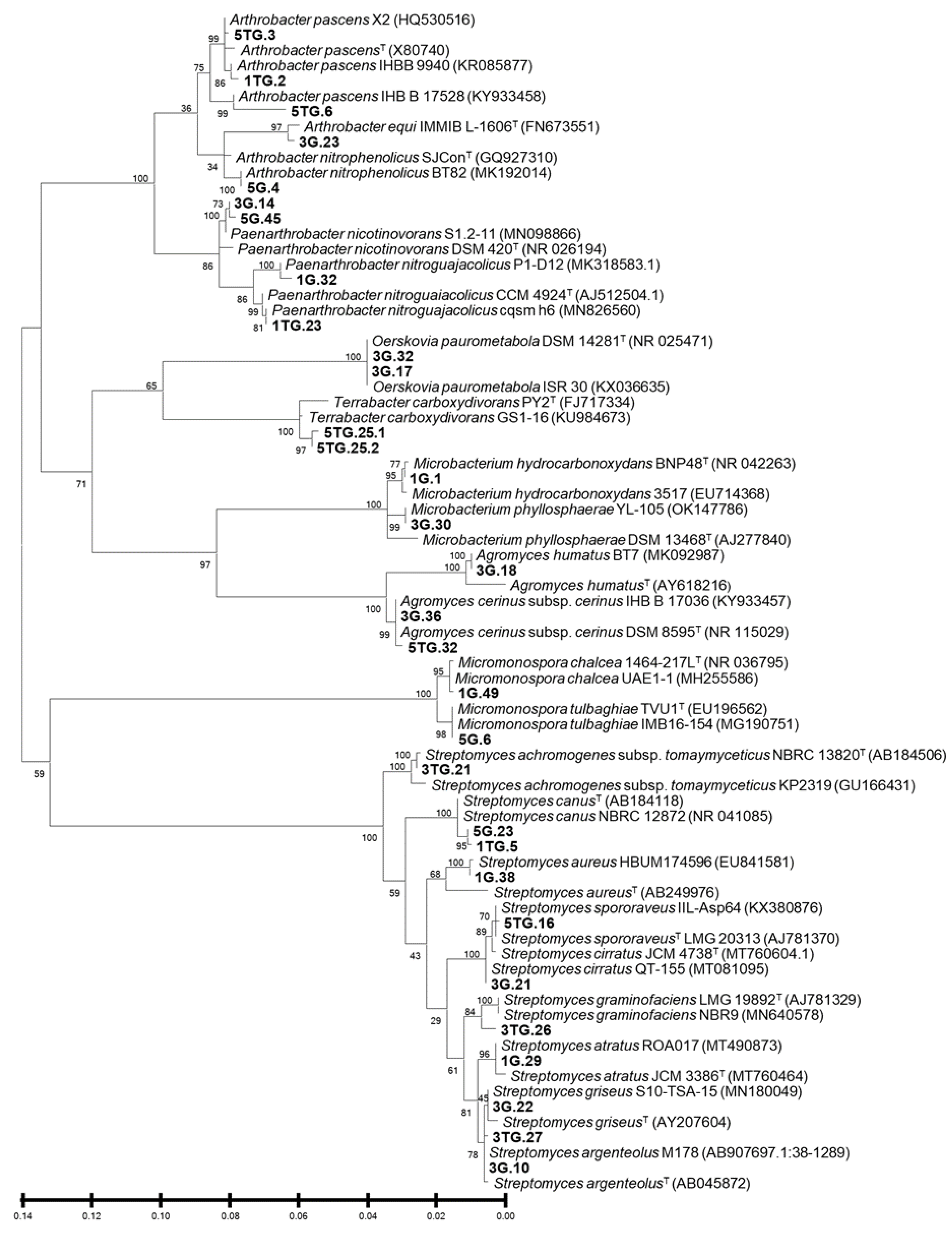 Sustainability 15 00598 g004
