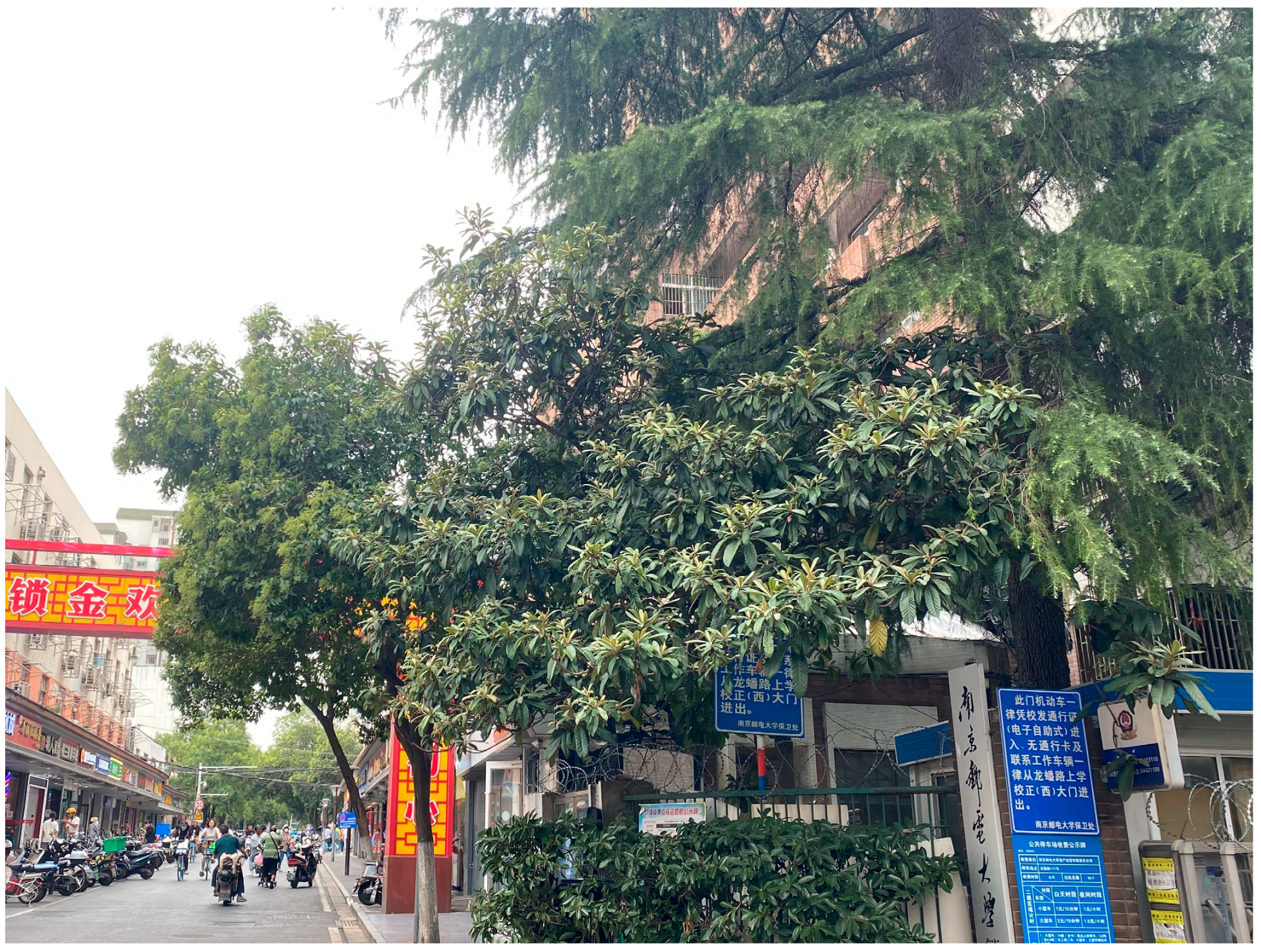 Sustainability 15 00607 g003