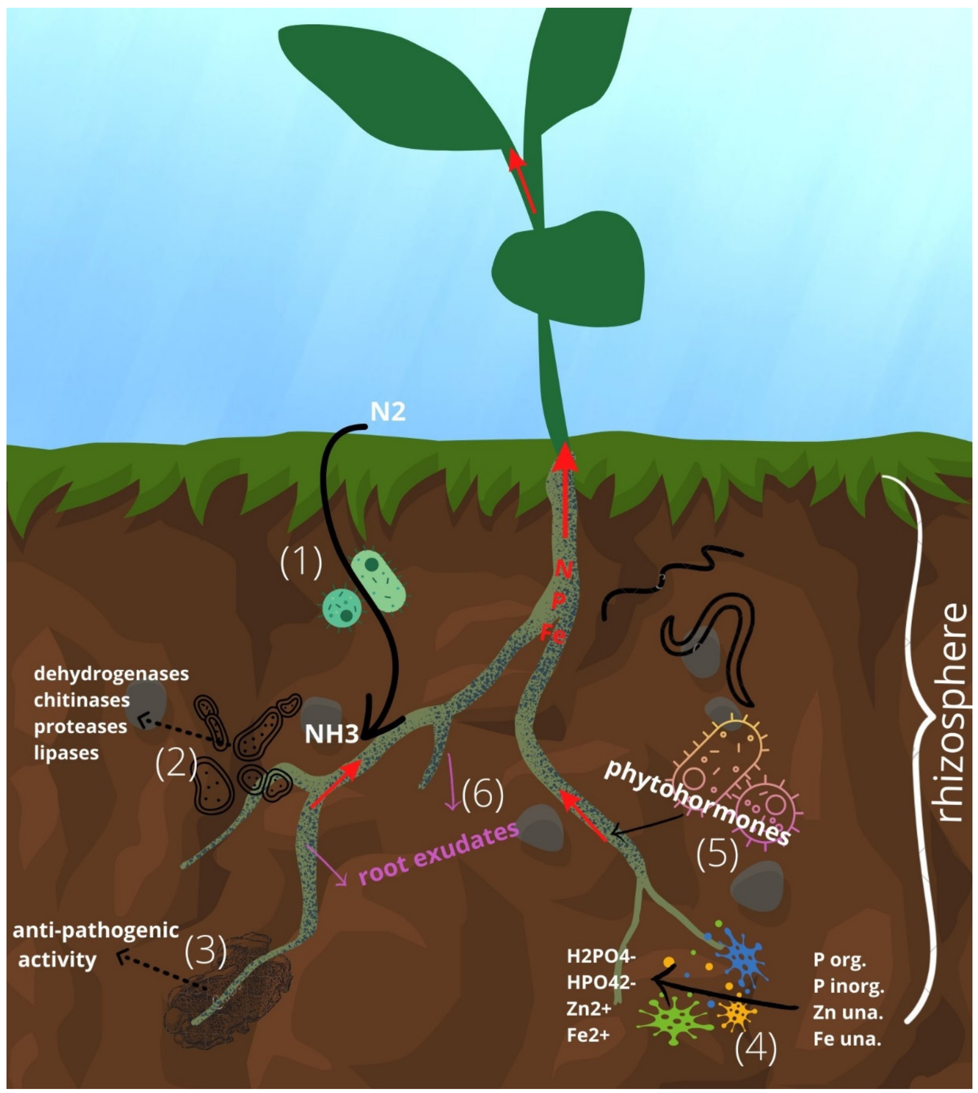 Sustainability 15 00625 g001