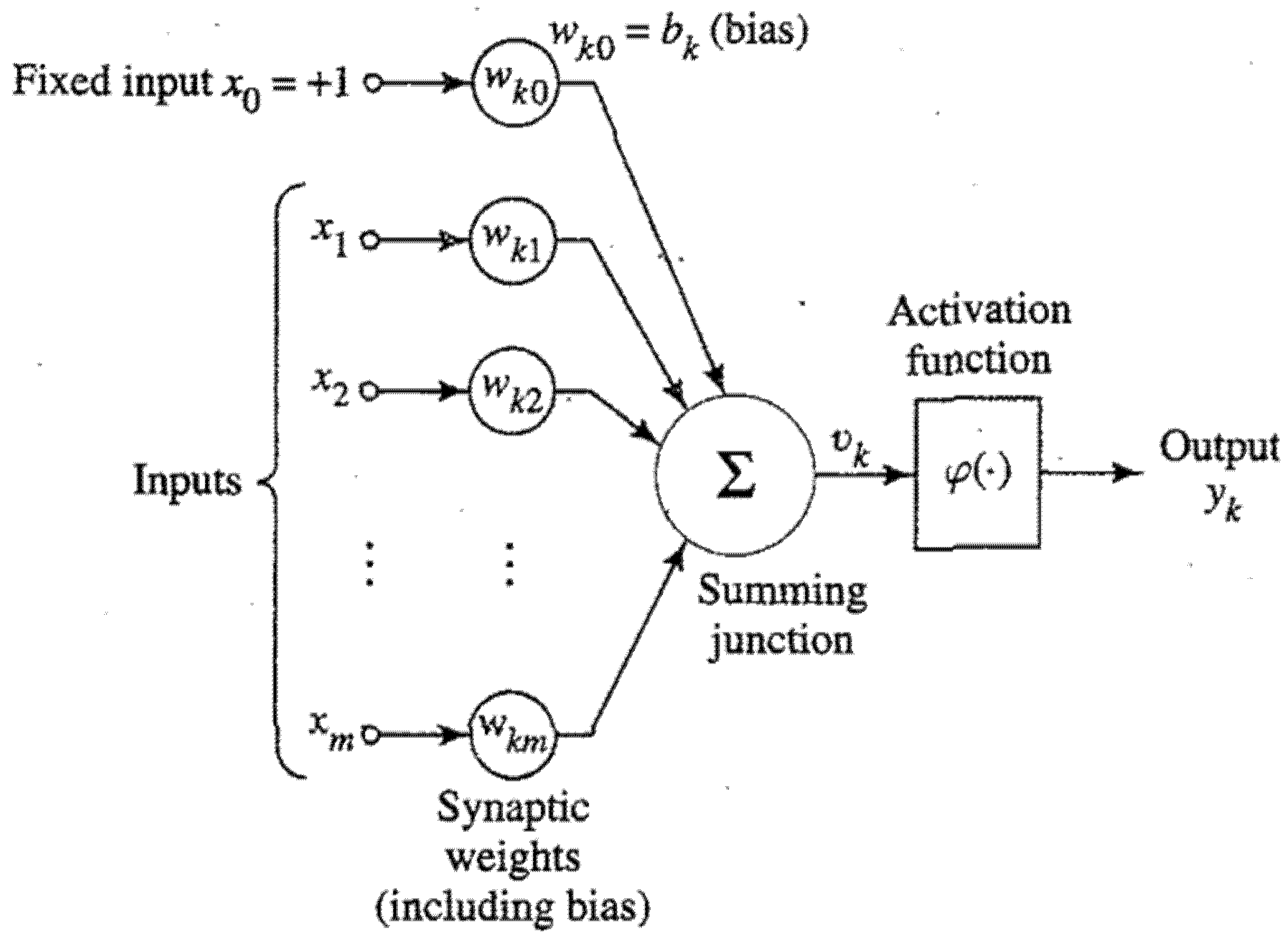 Sustainability 15 00664 g001