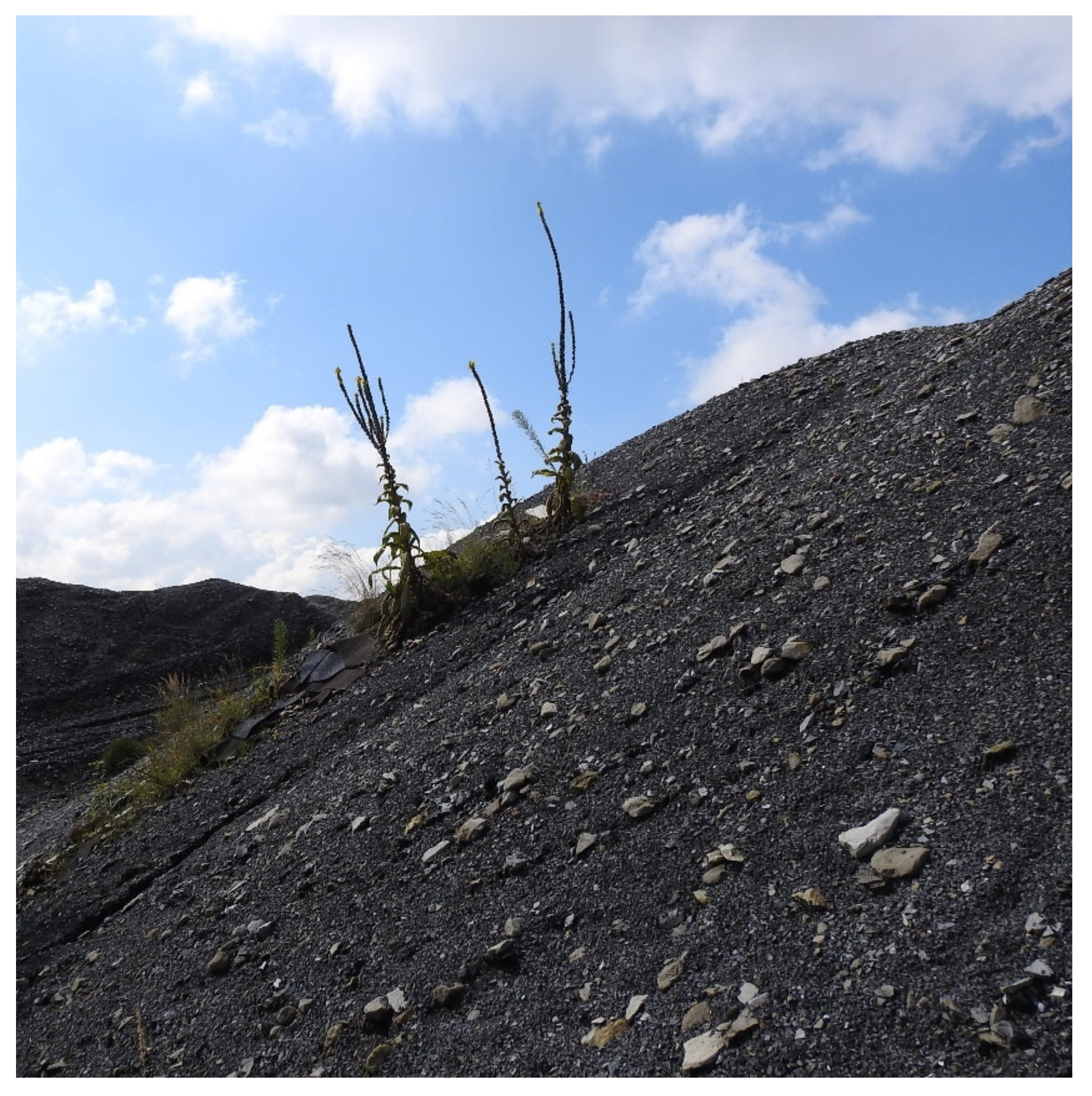 Sustainability 15 00678 g002