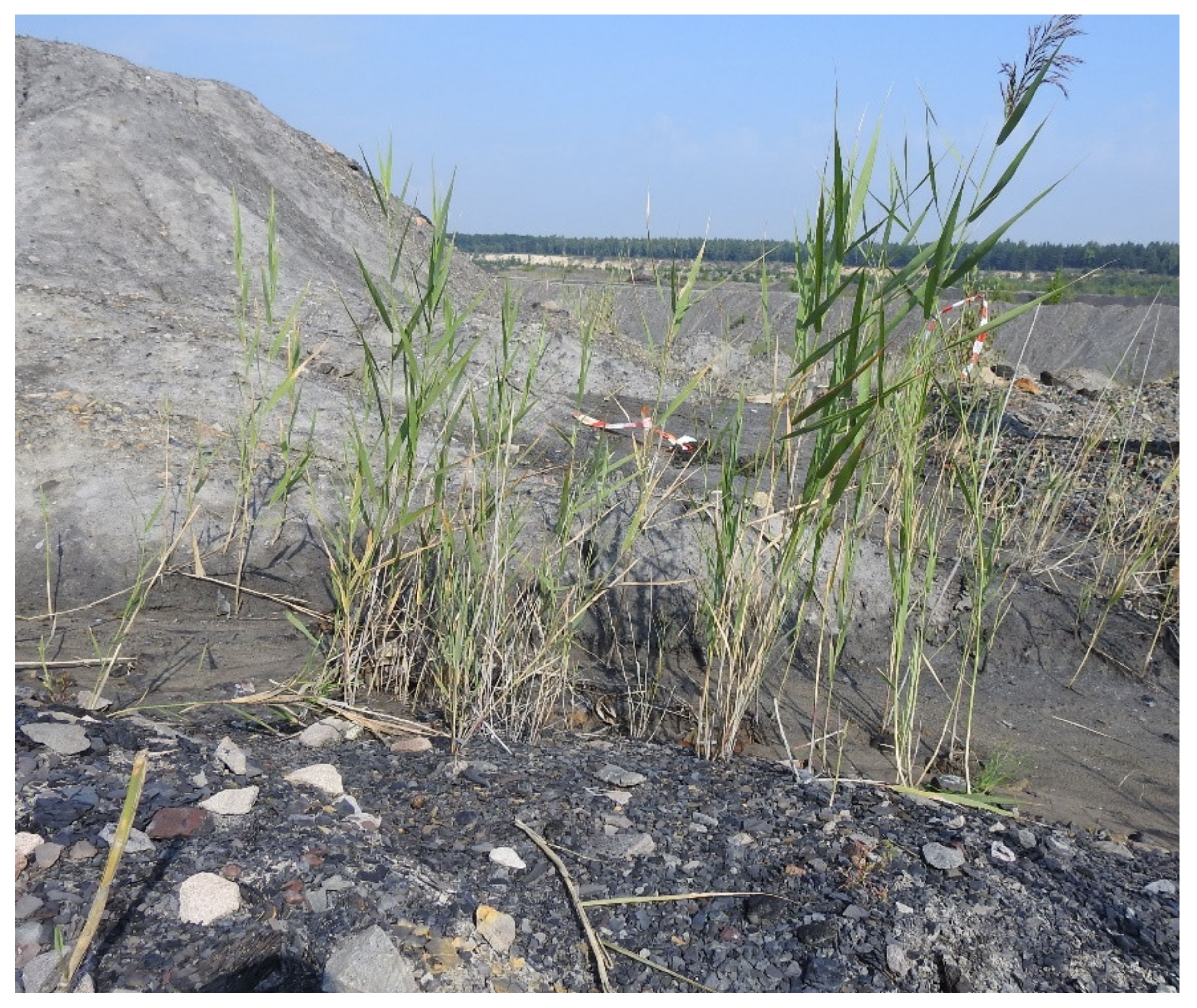 Sustainability 15 00678 g003