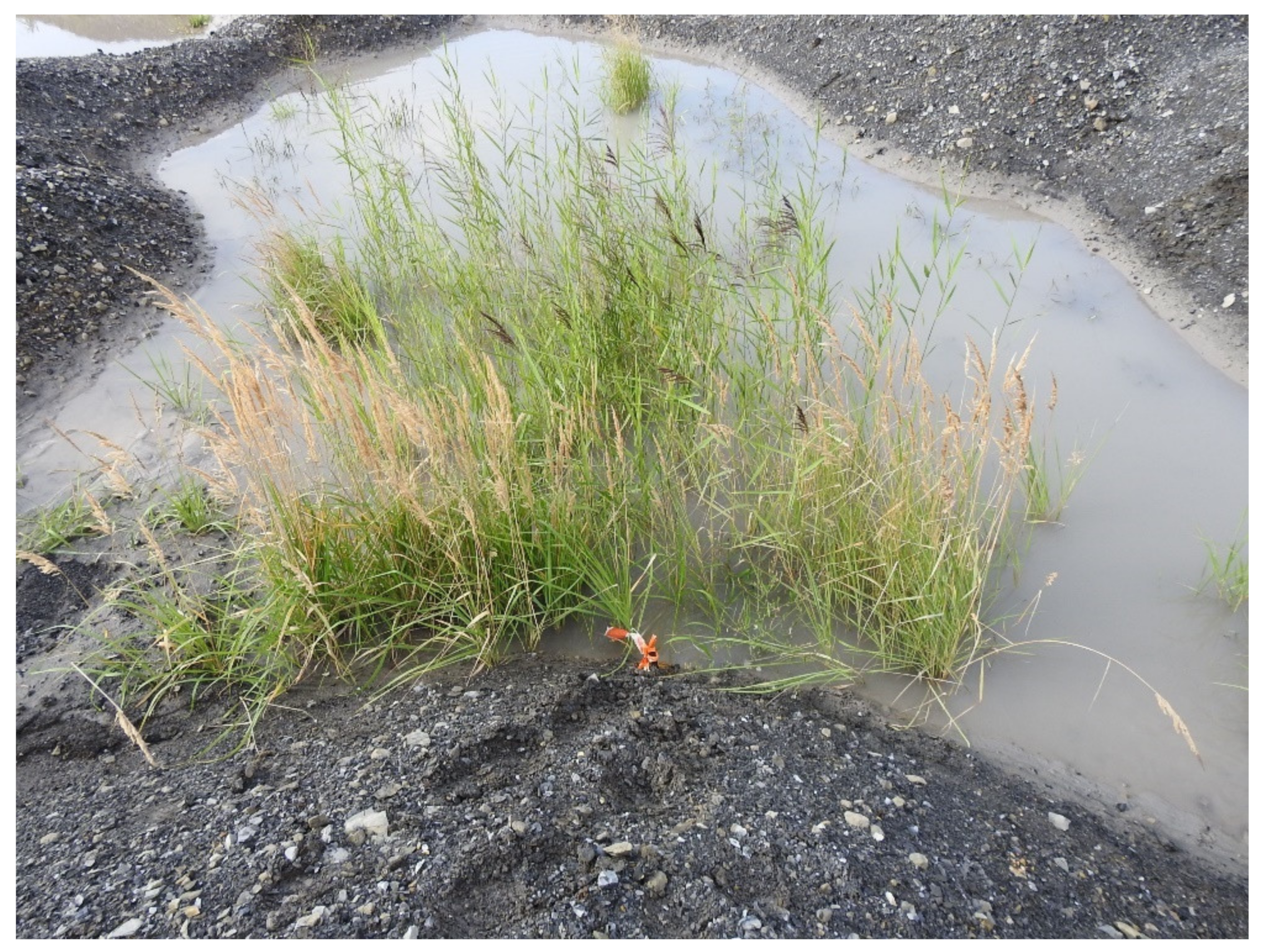 Sustainability 15 00678 g004