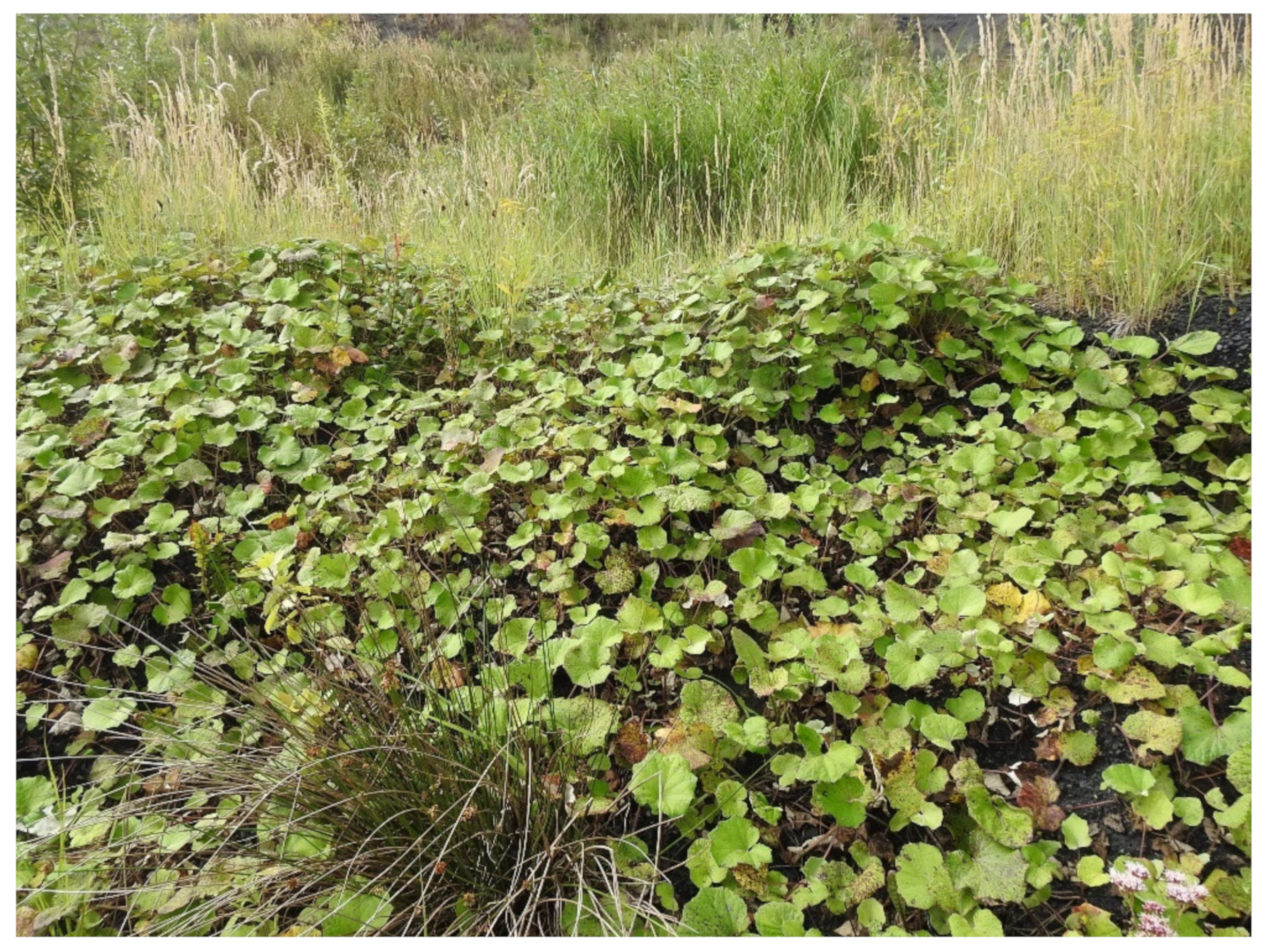 Sustainability 15 00678 g005