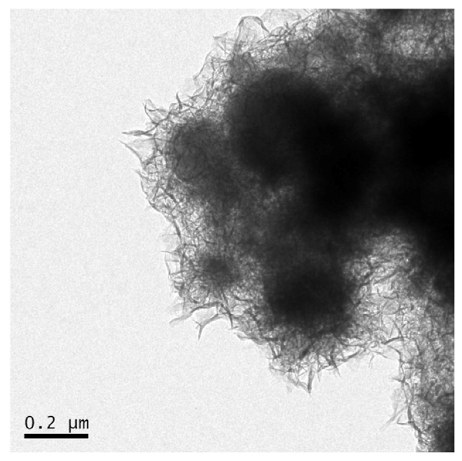 Sustainability 15 00689 g003