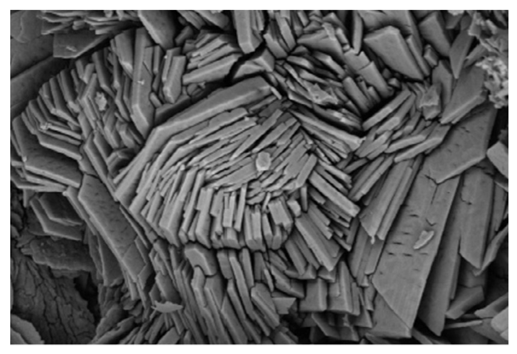 Sustainability 15 00689 g006