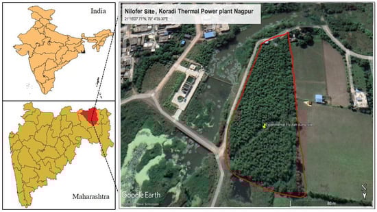 Sustainability 15 00755 g001