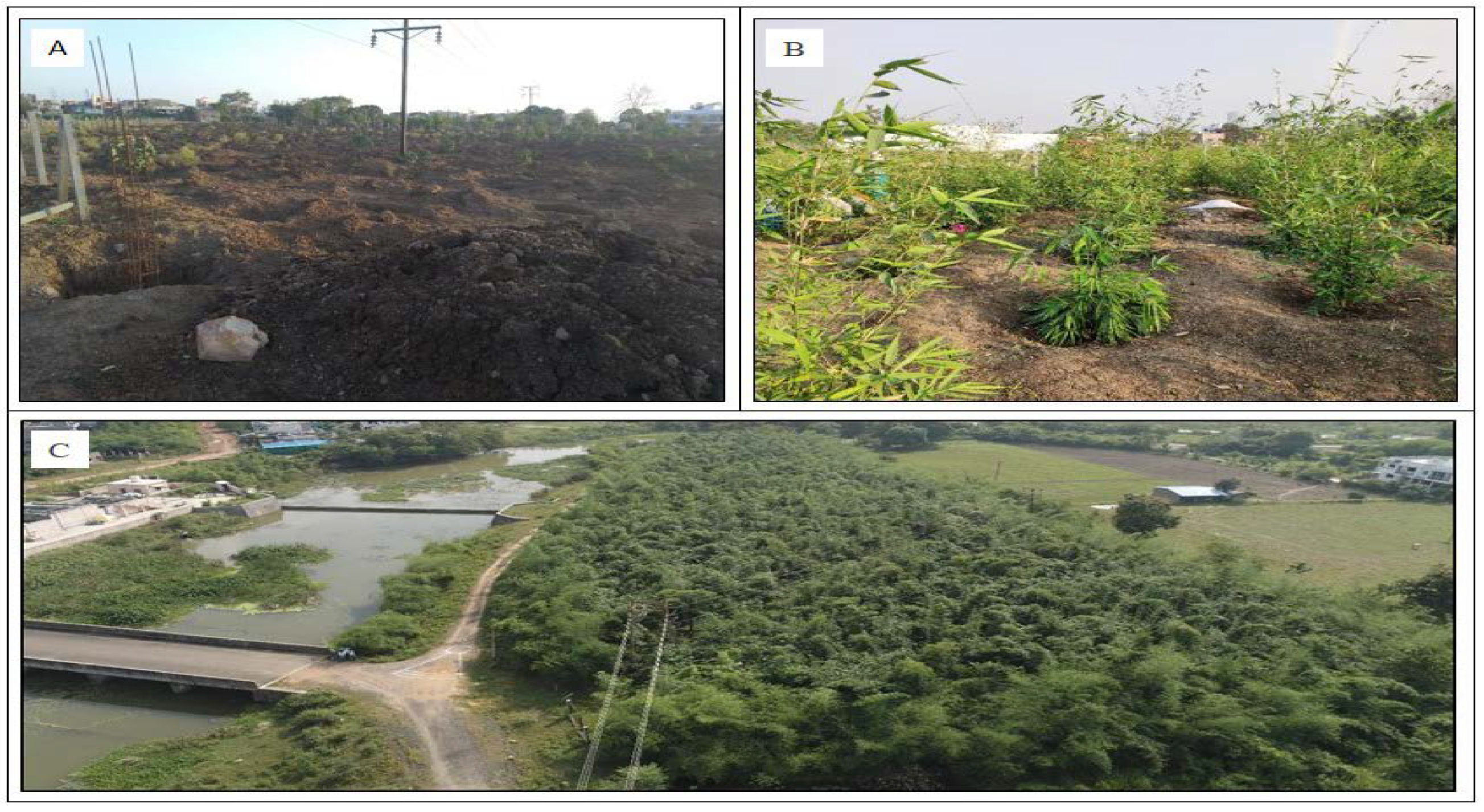 Sustainability 15 00755 g004