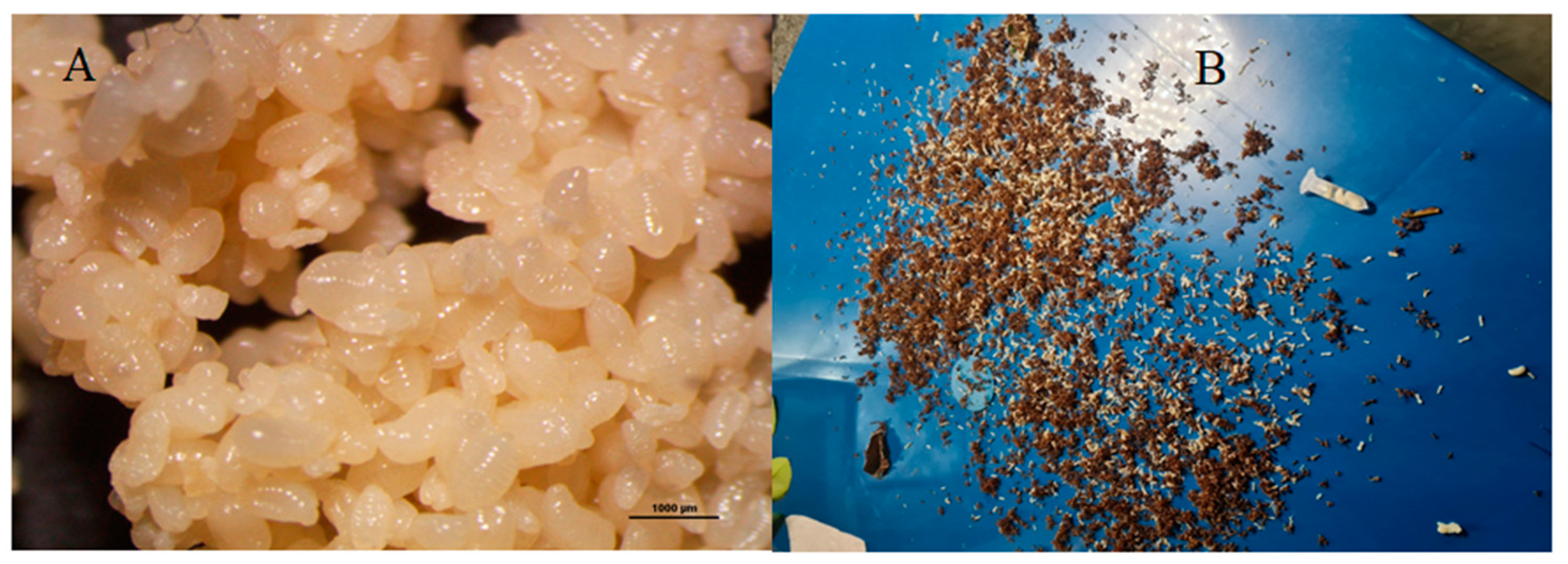 Sustainability 15 00780 g002