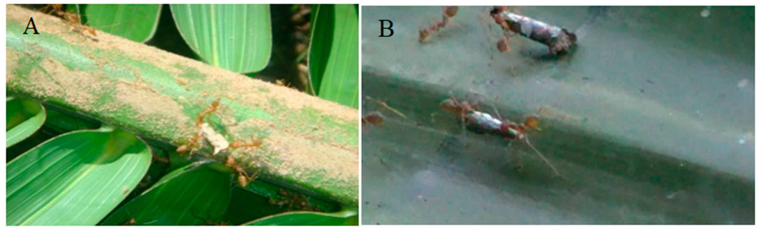 Sustainability 15 00780 g003