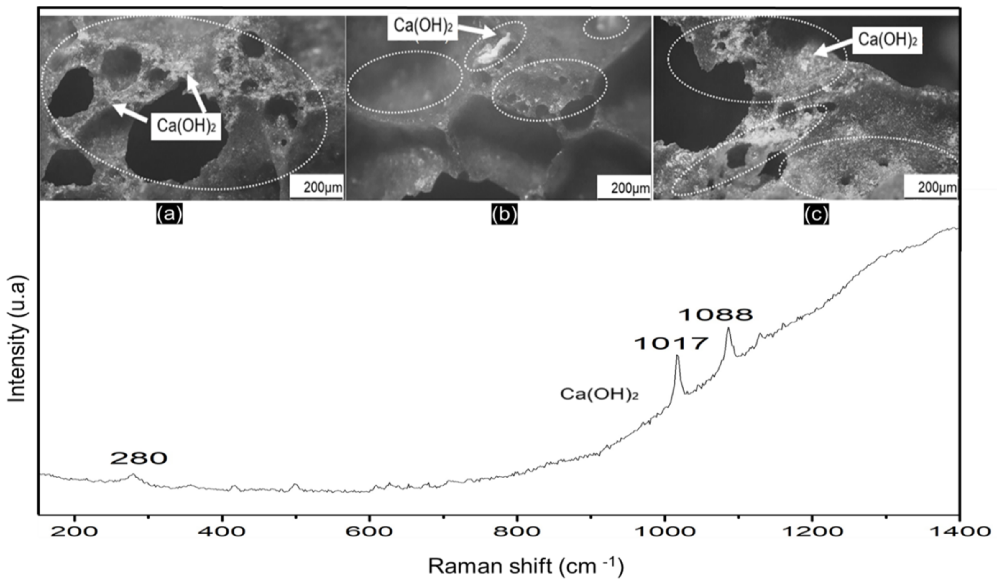 Sustainability 15 00796 g007 Sustainability 15 00796 g007