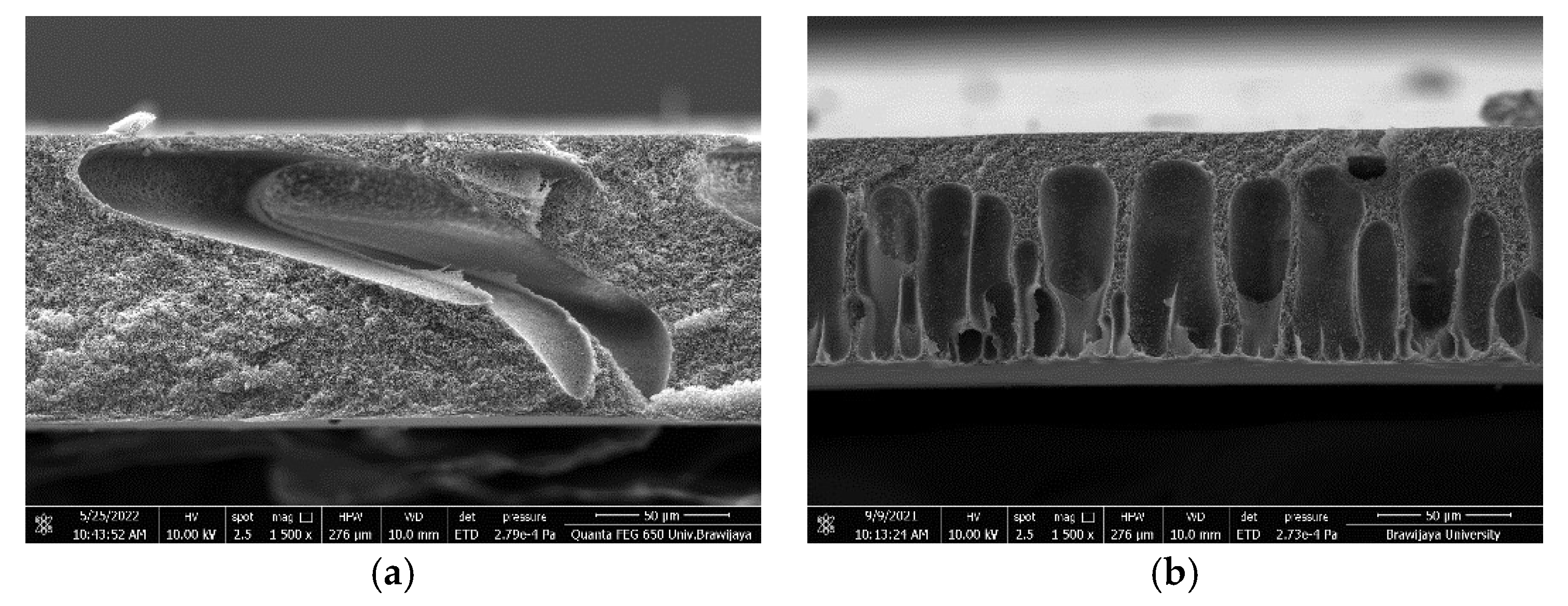 Sustainability 15 00806 g006a