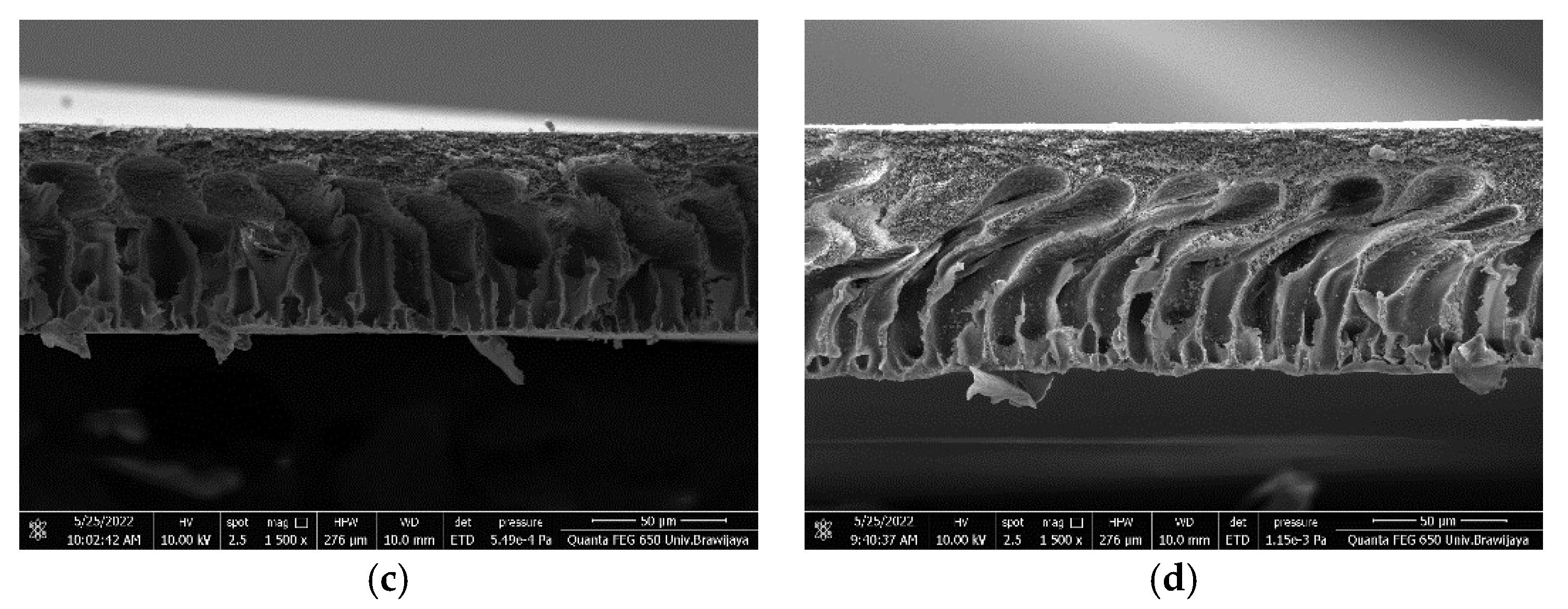 Sustainability 15 00806 g006b