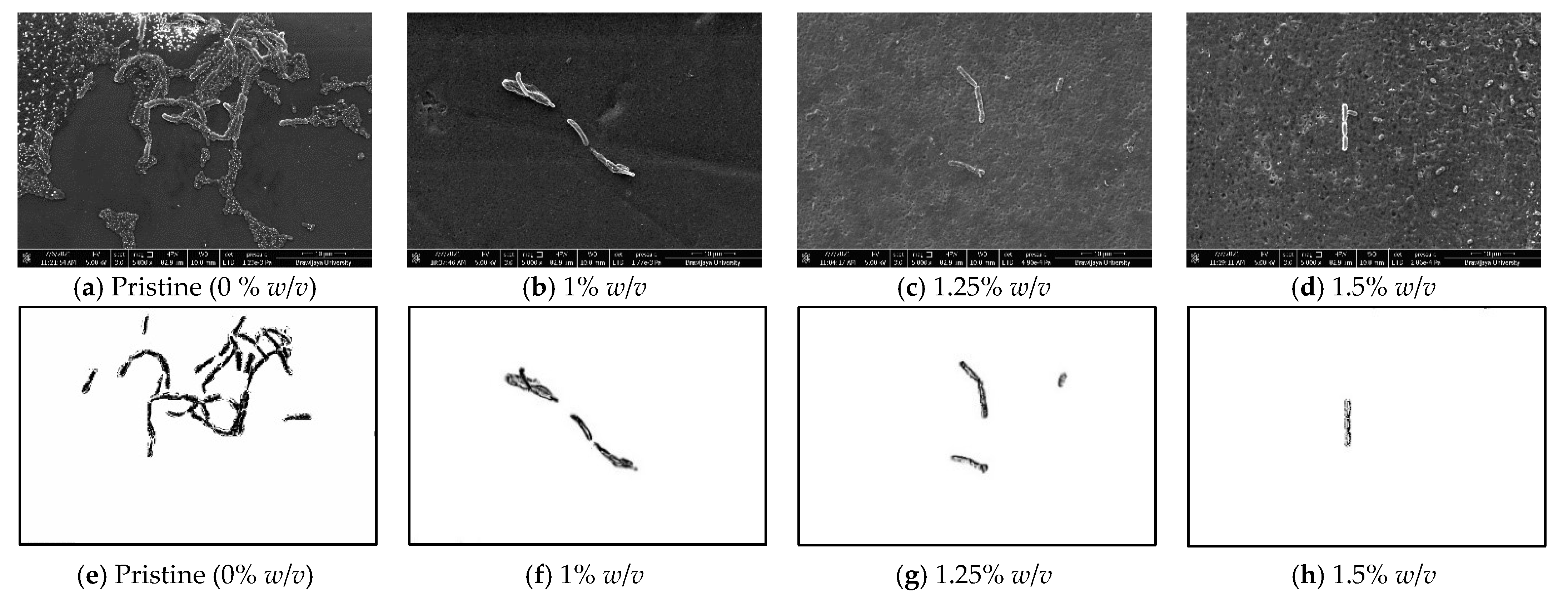 Sustainability 15 00806 g007