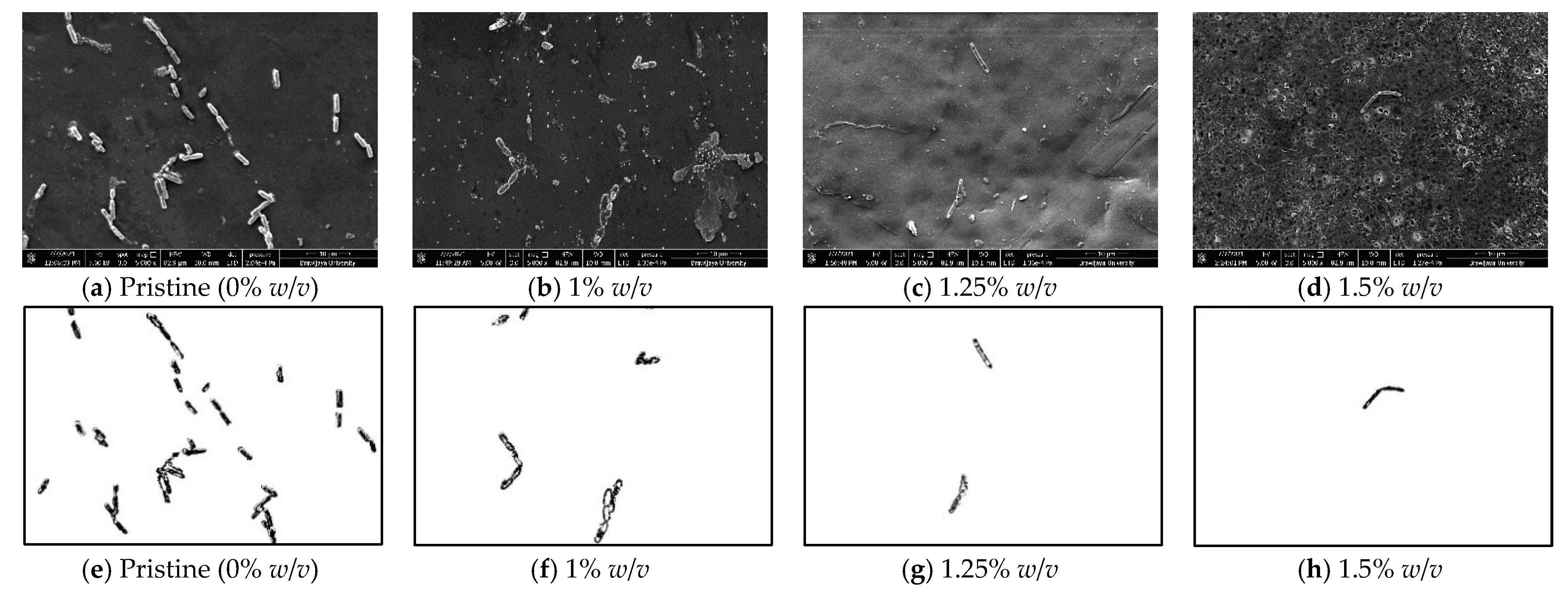 Sustainability 15 00806 g008
