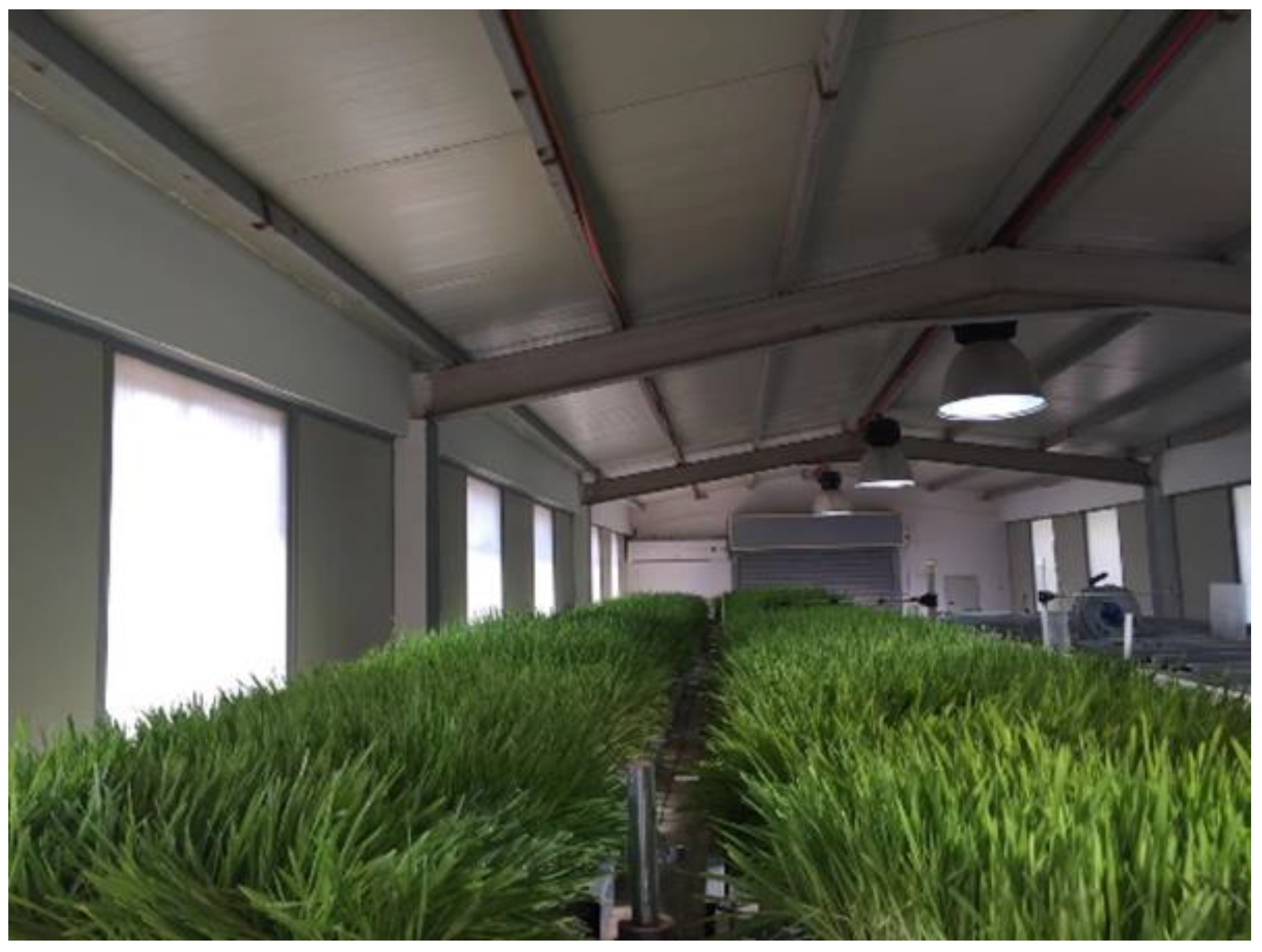 Sustainability 15 00822 g001