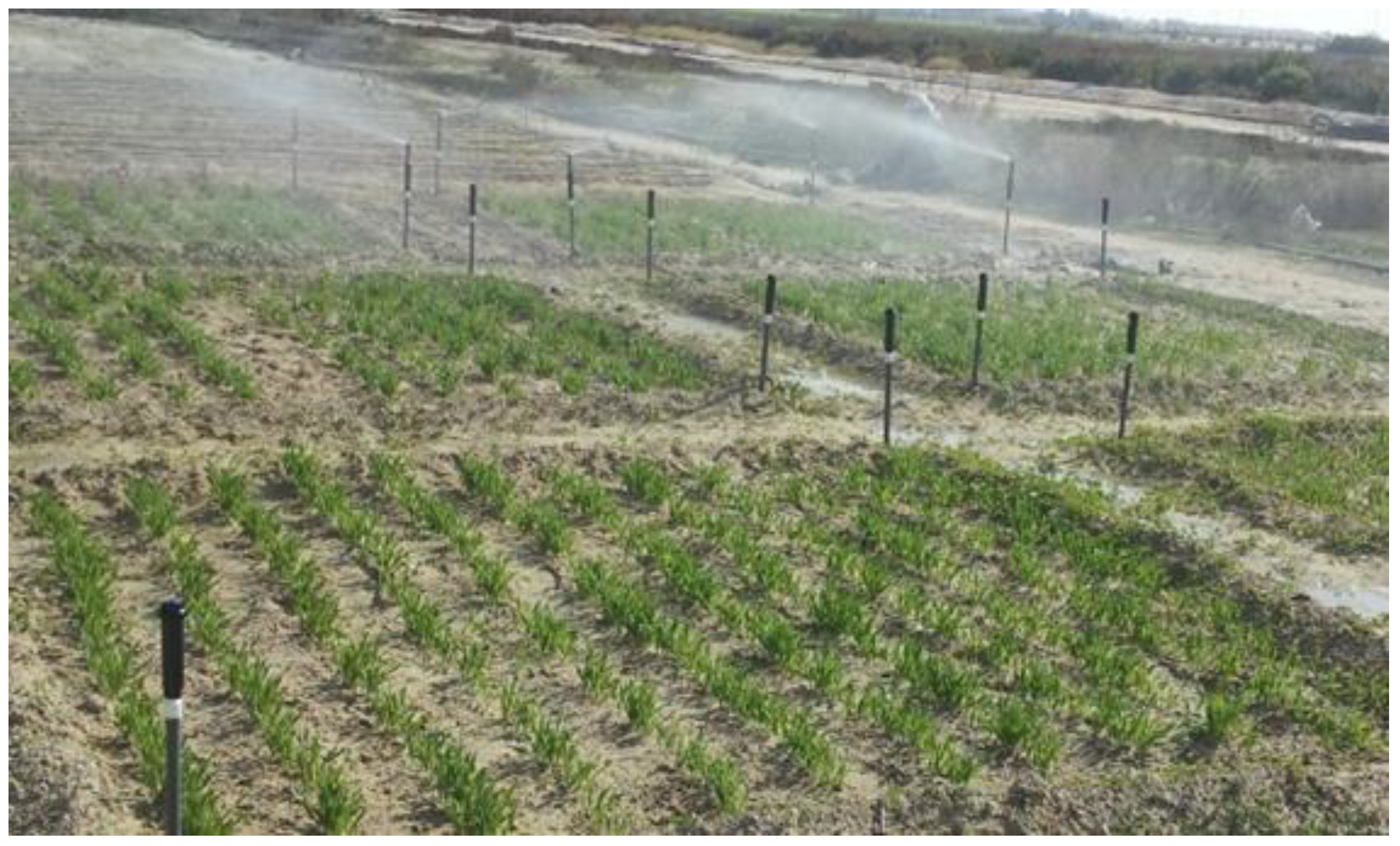 Sustainability 15 00822 g002