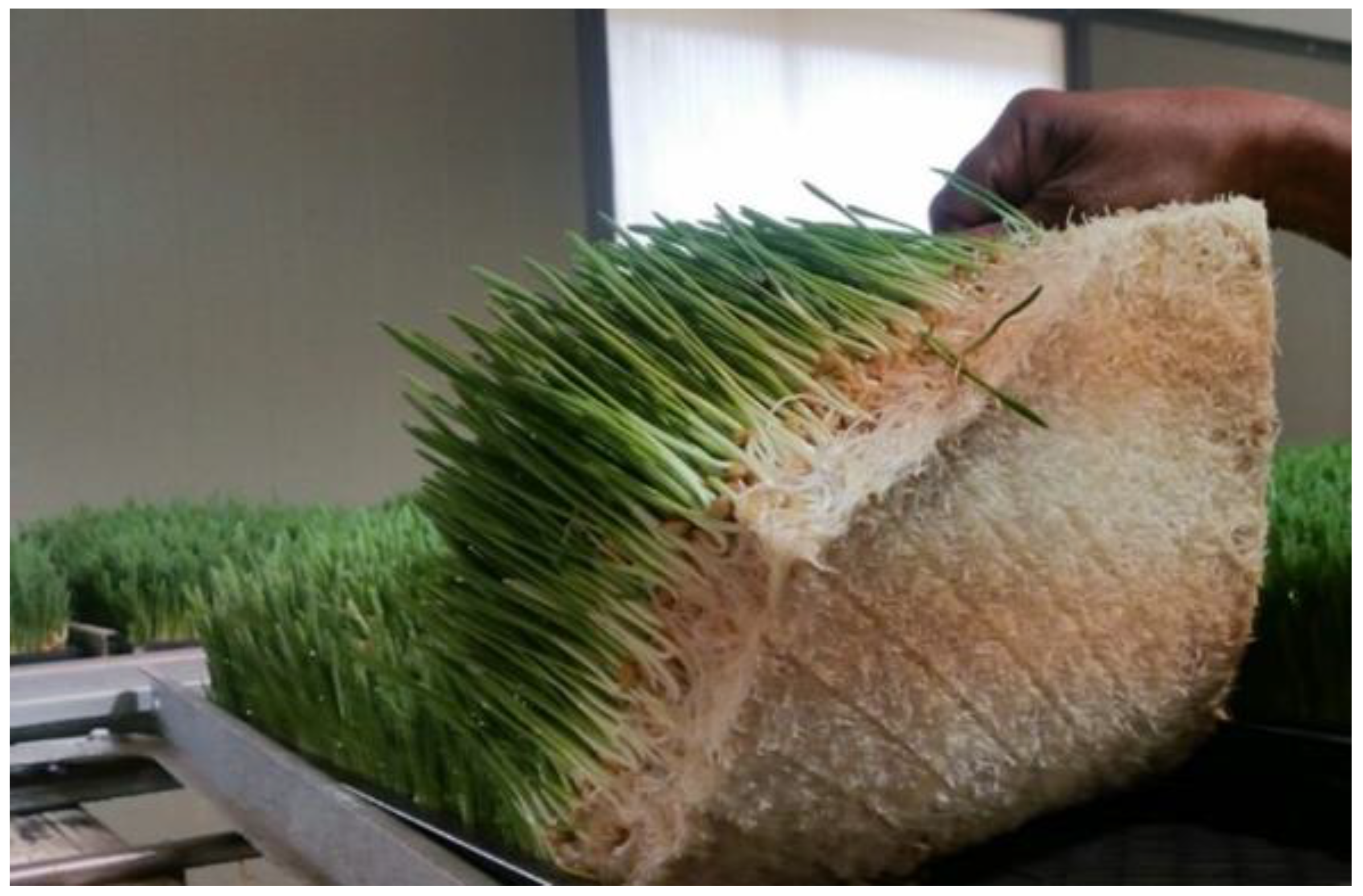 Sustainability 15 00822 g003