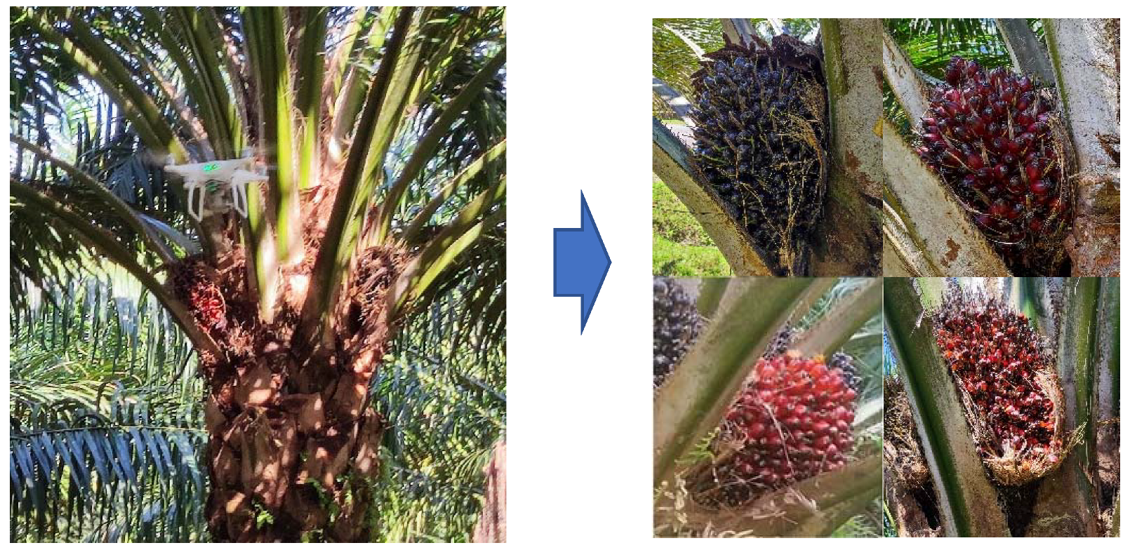 Sustainability 15 00901 g001