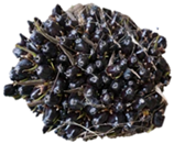 Sustainability 15 00901 i001