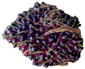 Sustainability 15 00901 i002