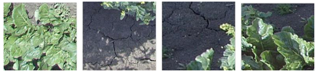 Sustainability 15 00998 i010