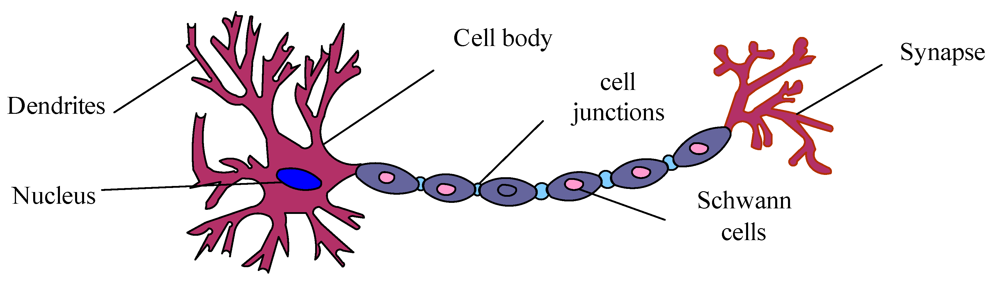 Sustainability 15 01052 g003