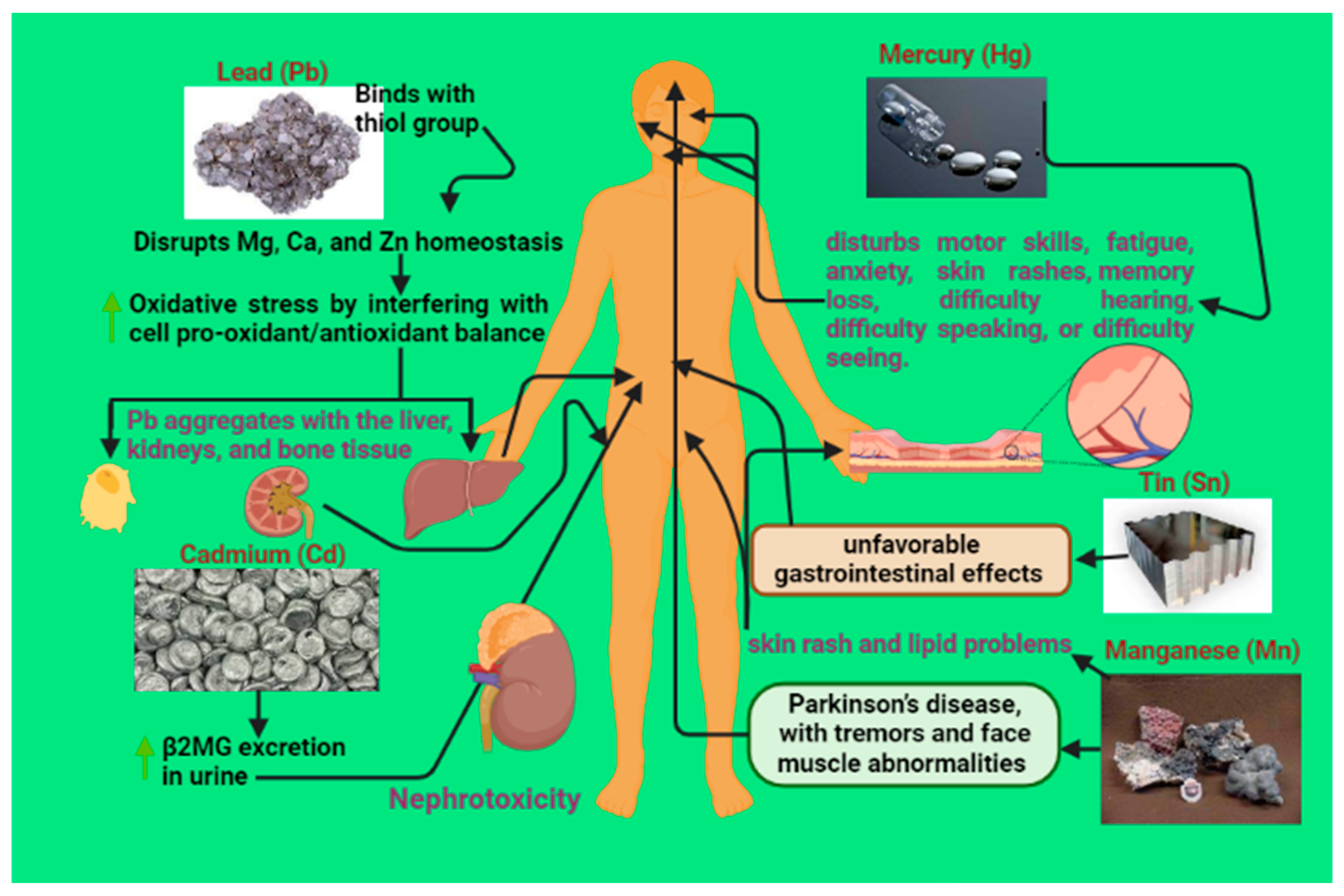 Sustainability 15 01195 g001