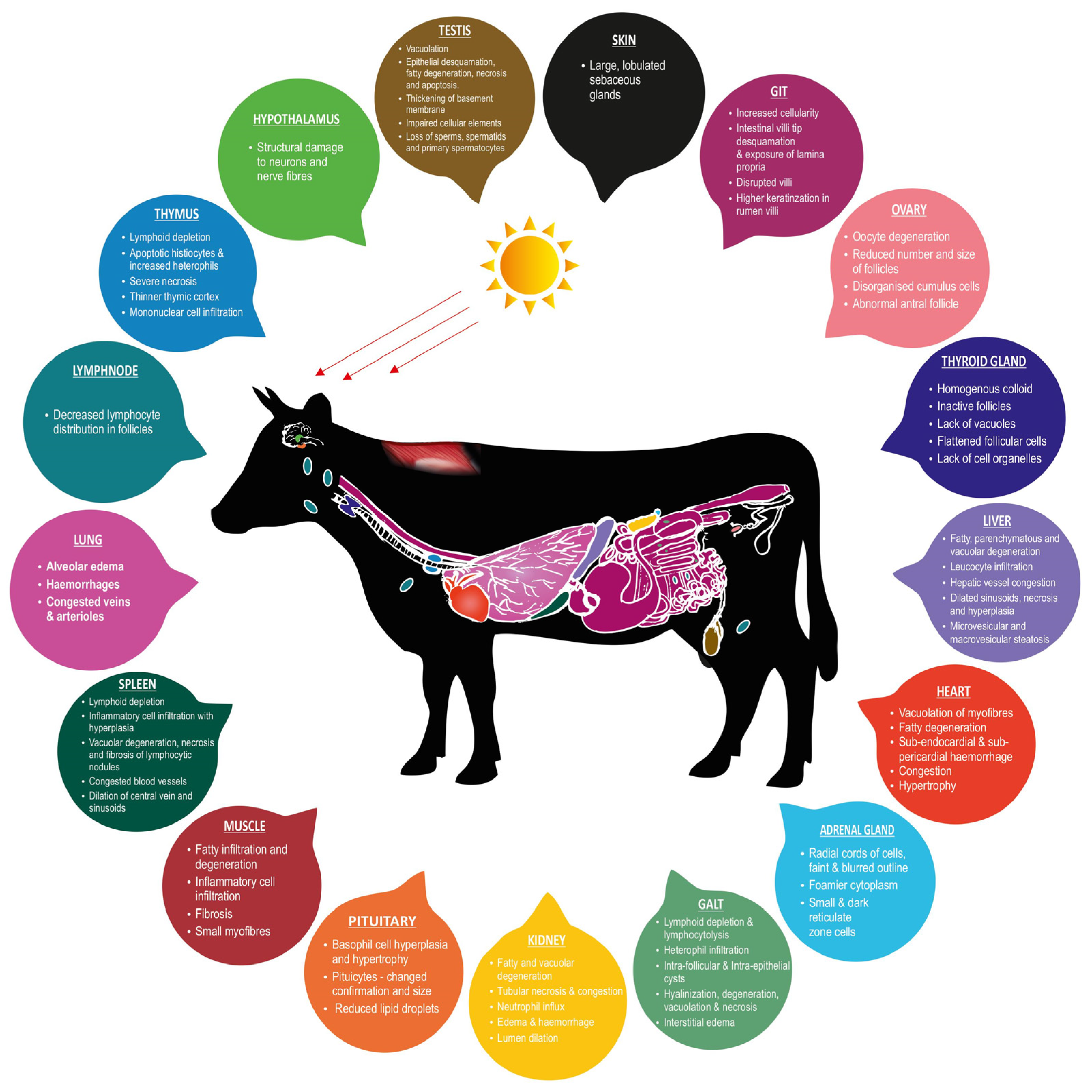 Sustainability 15 01242 g001