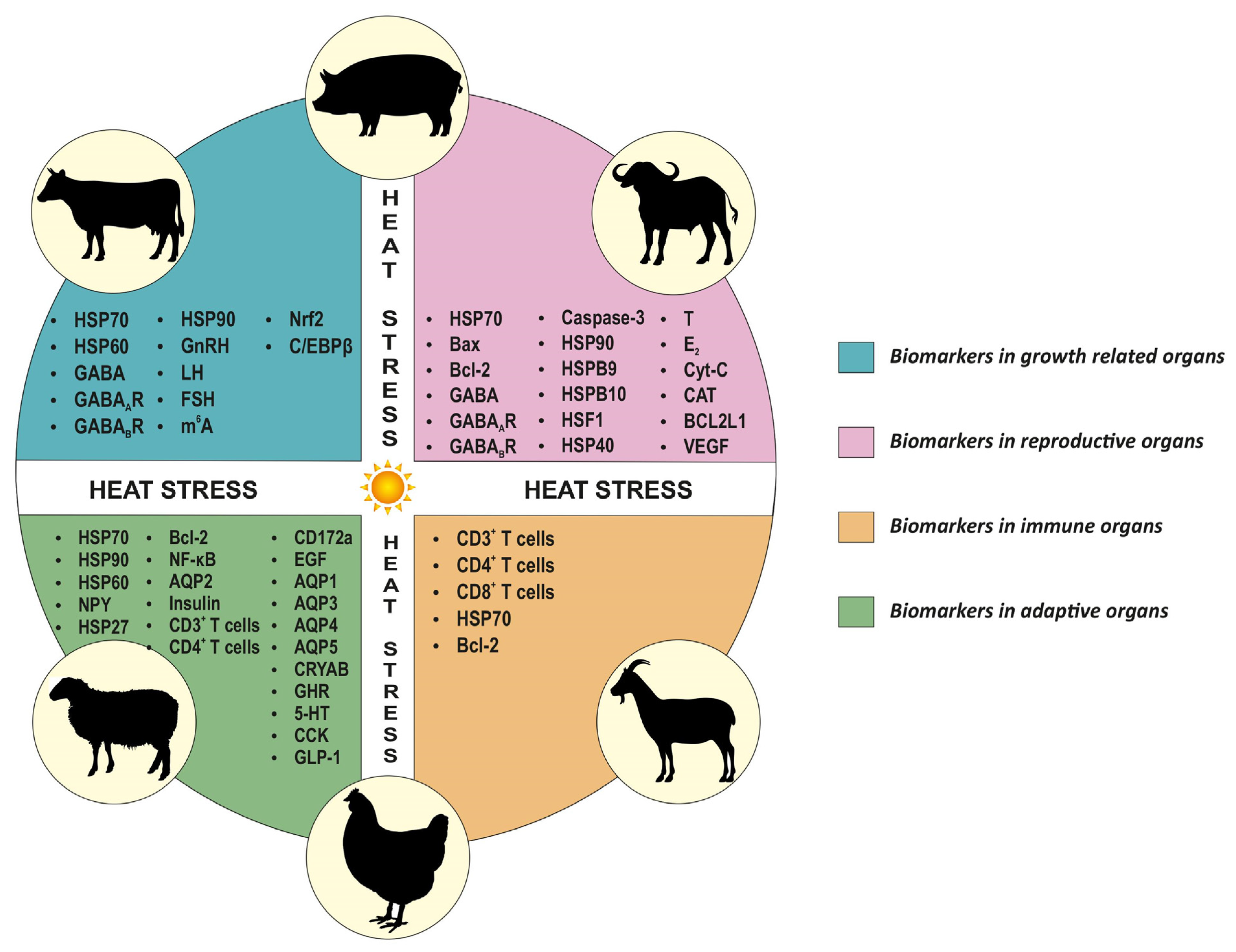 Sustainability 15 01242 g002