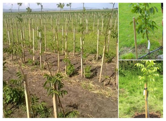 Sustainability 15 01244 g004