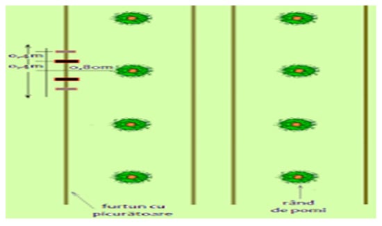 Sustainability 15 01244 g010