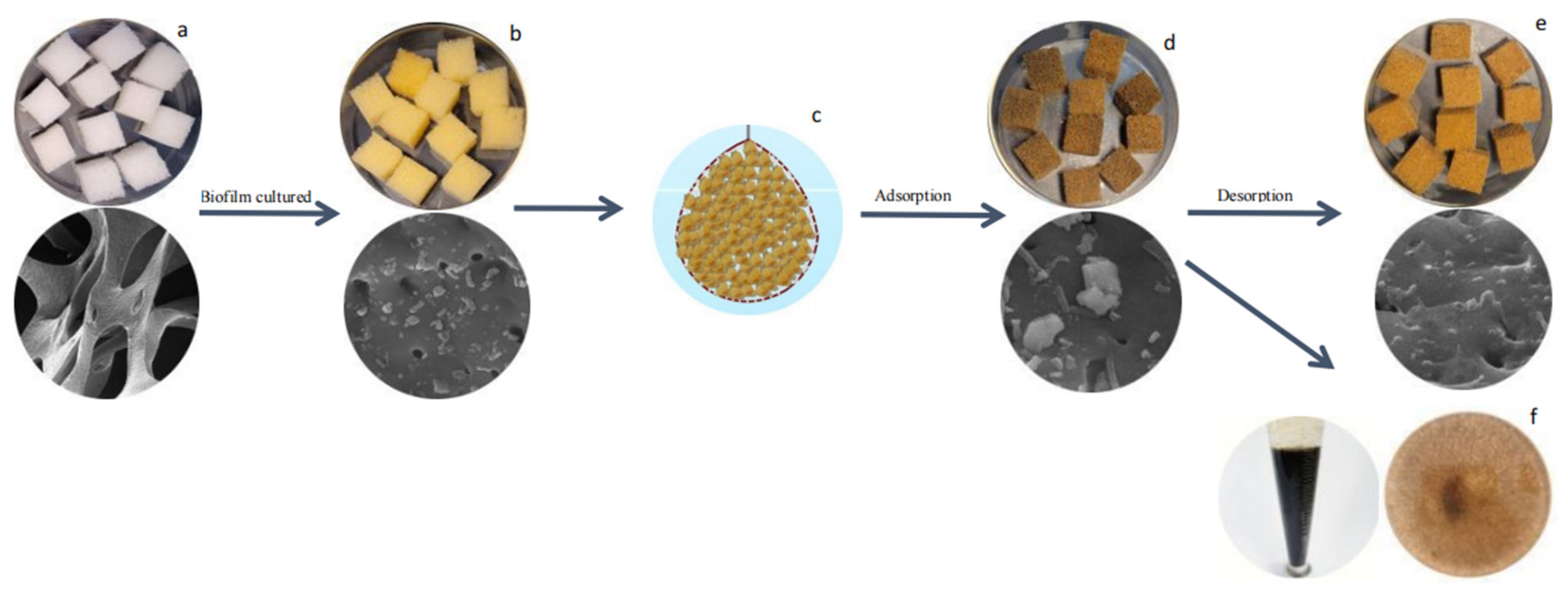 Sustainability 15 01271 g004