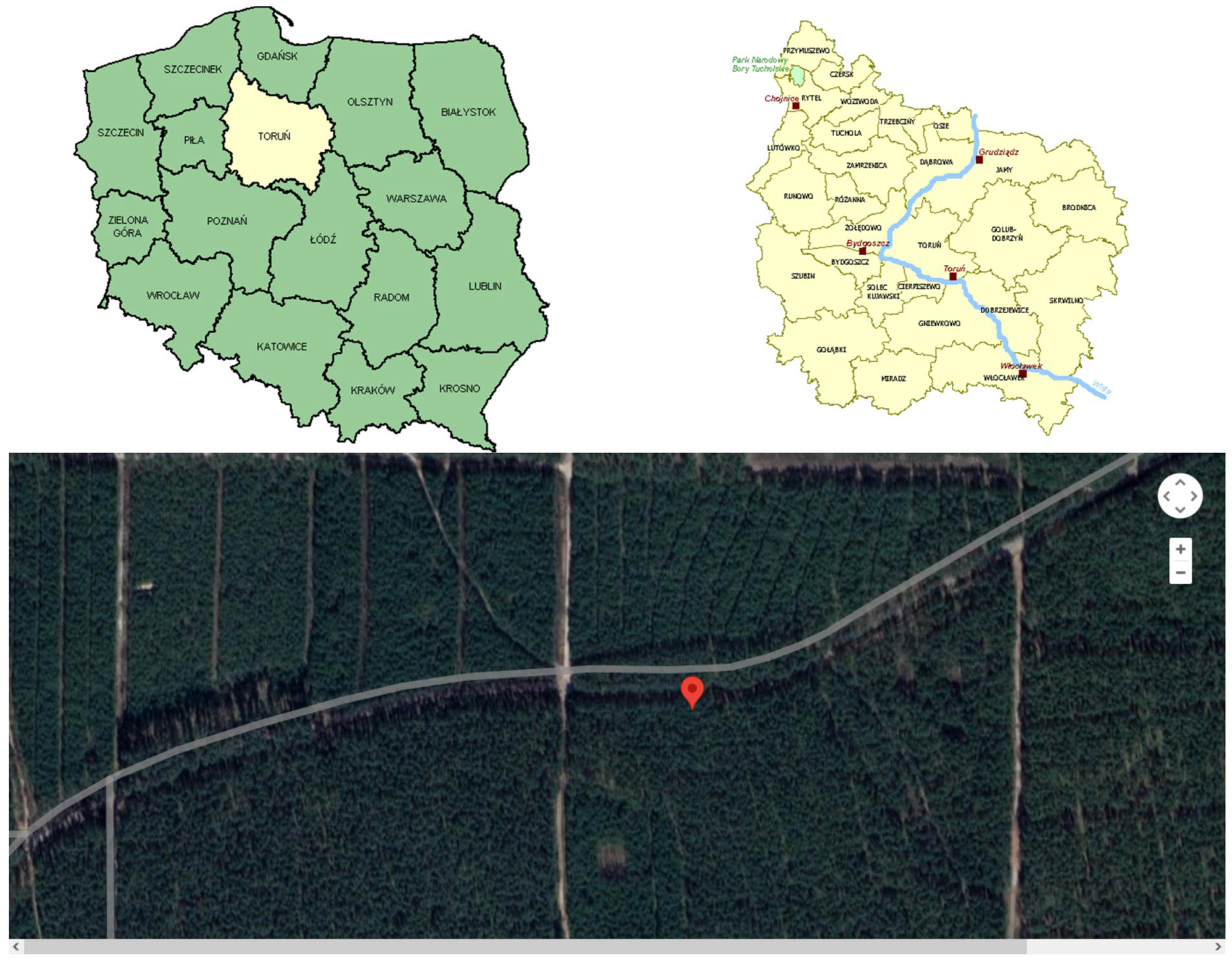 Sustainability 15 01307 g002 Sustainability 15 01307 g002