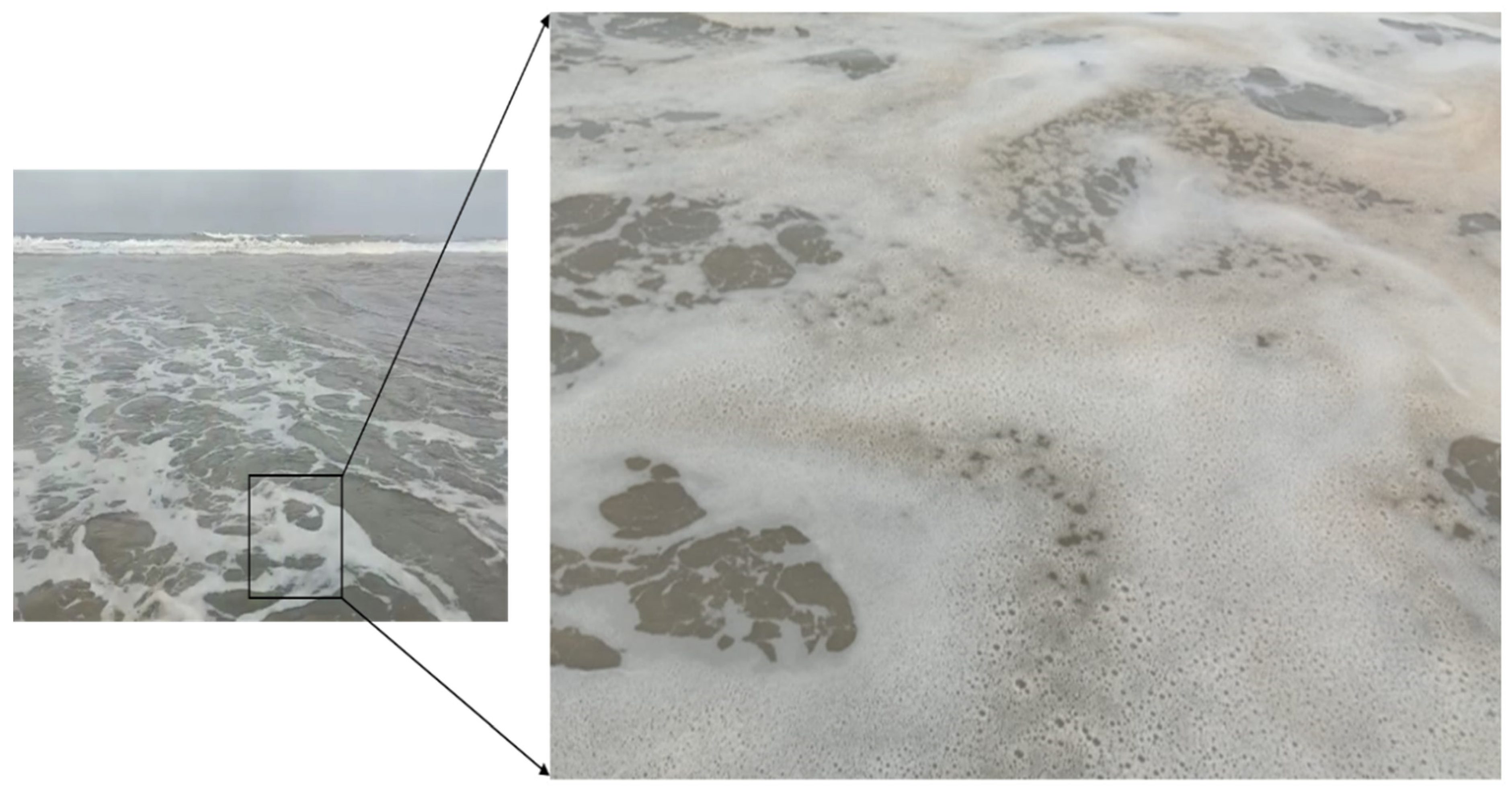 Sustainability 15 01311 g002