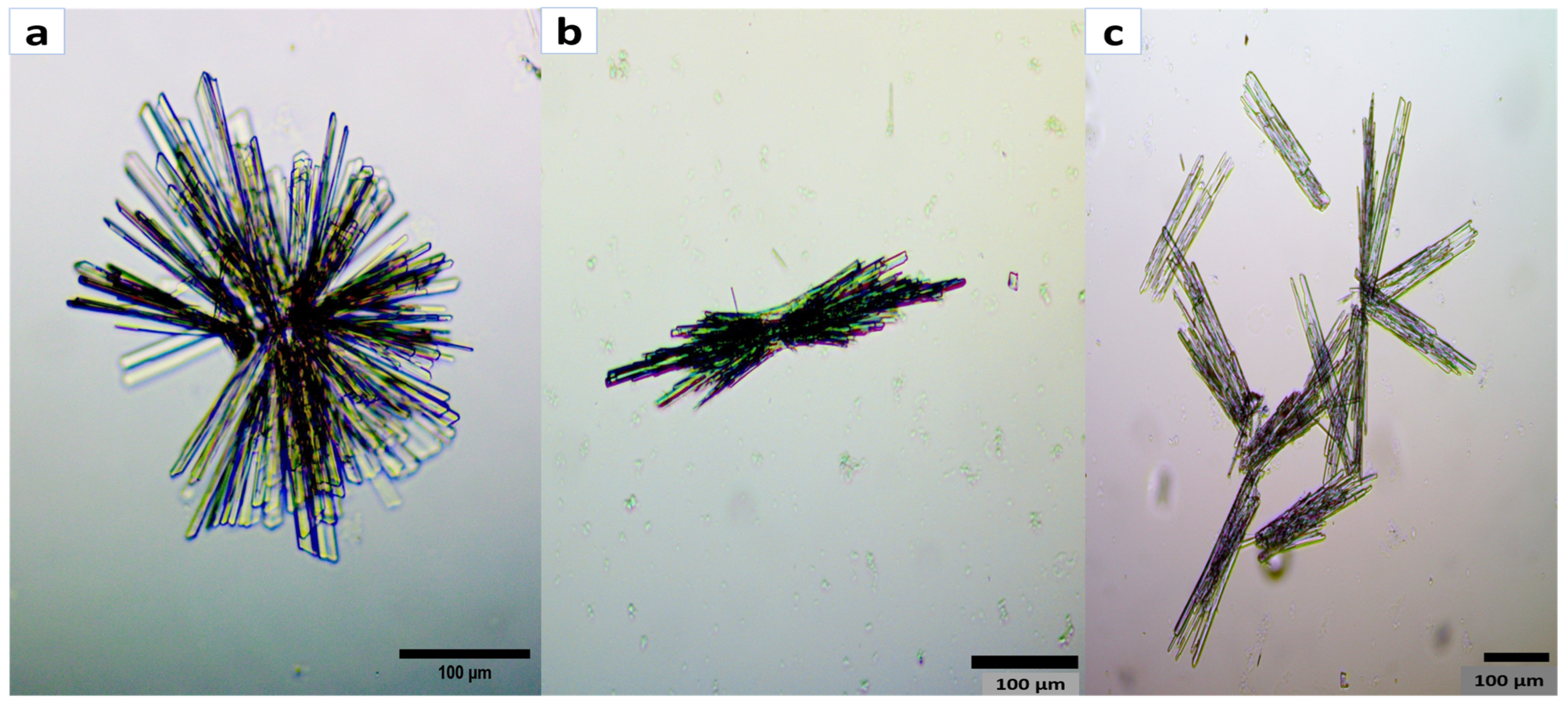 Sustainability 15 01311 g004