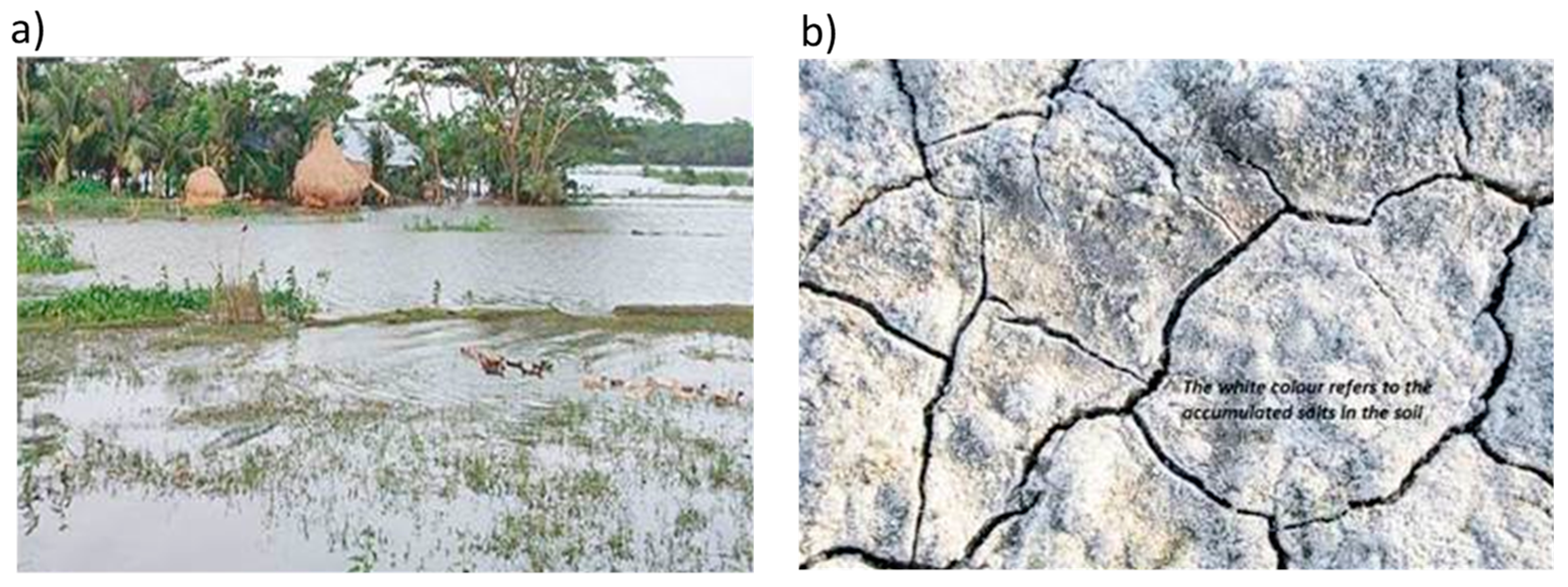 Sustainability 15 01355 g001