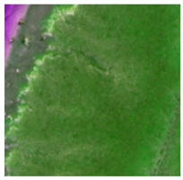 Sustainability 15 01373 i001 Sustainability 15 01373 i001