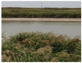 Sustainability 15 01373 i004 Sustainability 15 01373 i004