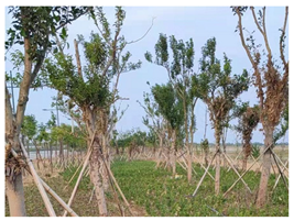 Sustainability 15 01373 i008 Sustainability 15 01373 i008