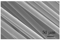 Sustainability 15 01396 i003