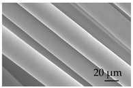 Sustainability 15 01396 i004