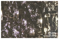 Sustainability 15 01396 i013