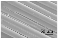 Sustainability 15 01396 i023