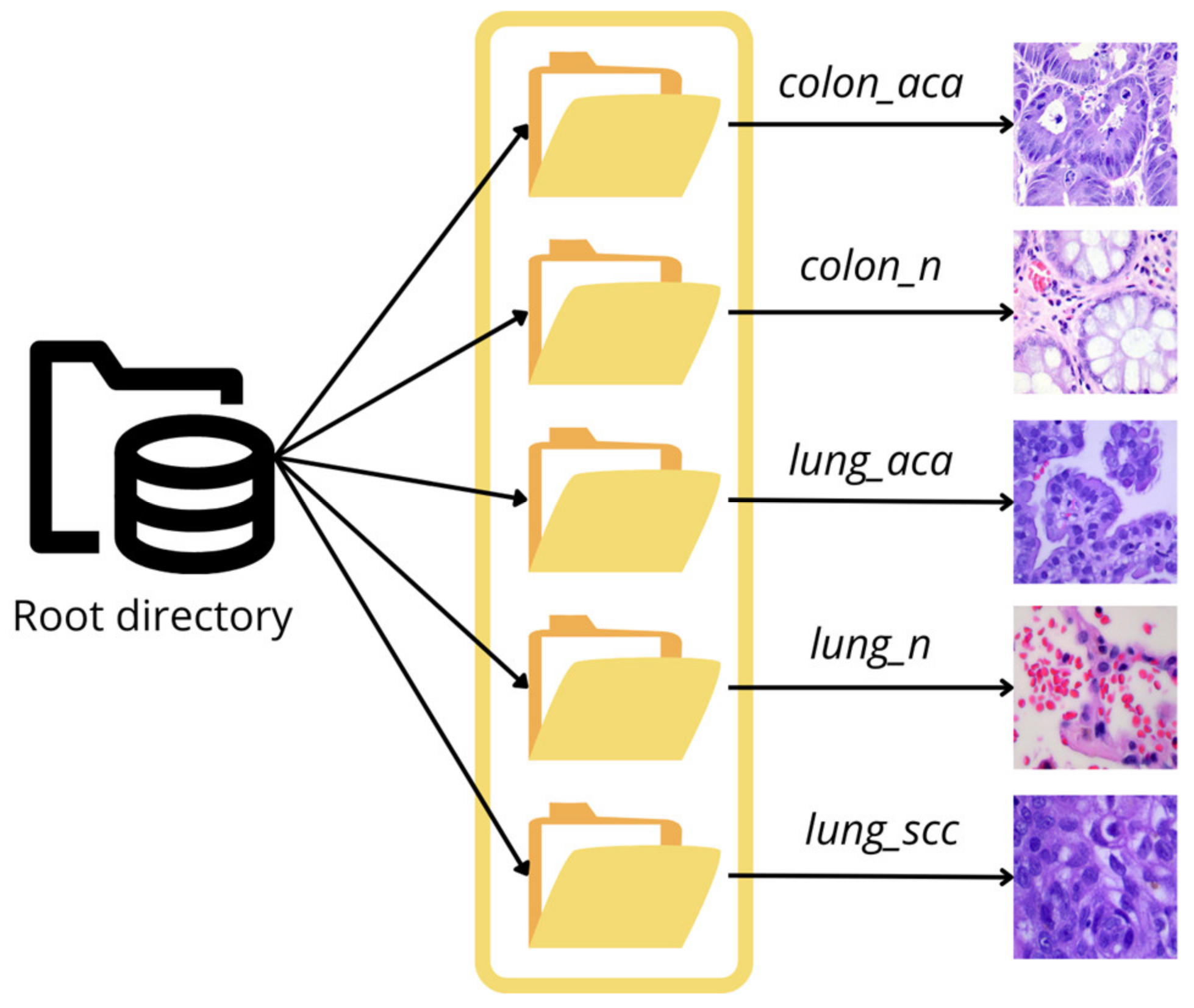 Sustainability 15 01399 g001