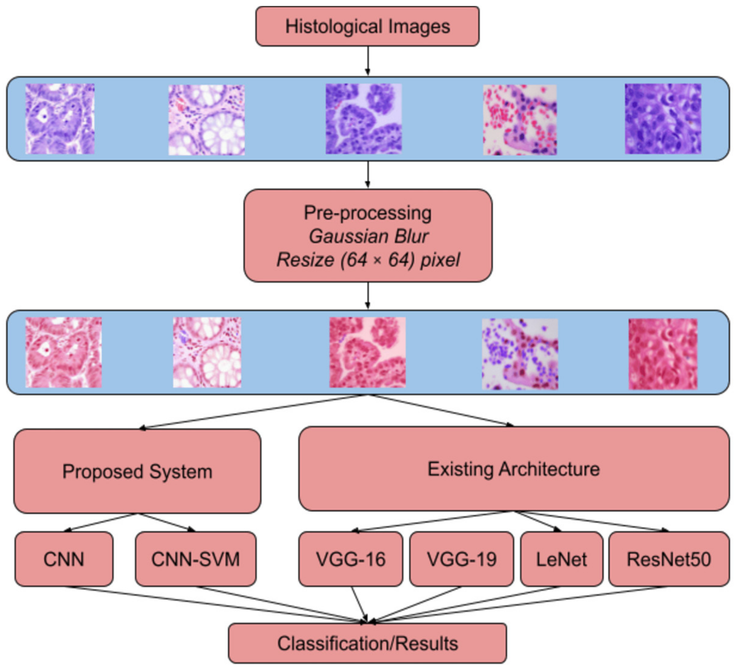 Sustainability 15 01399 g002