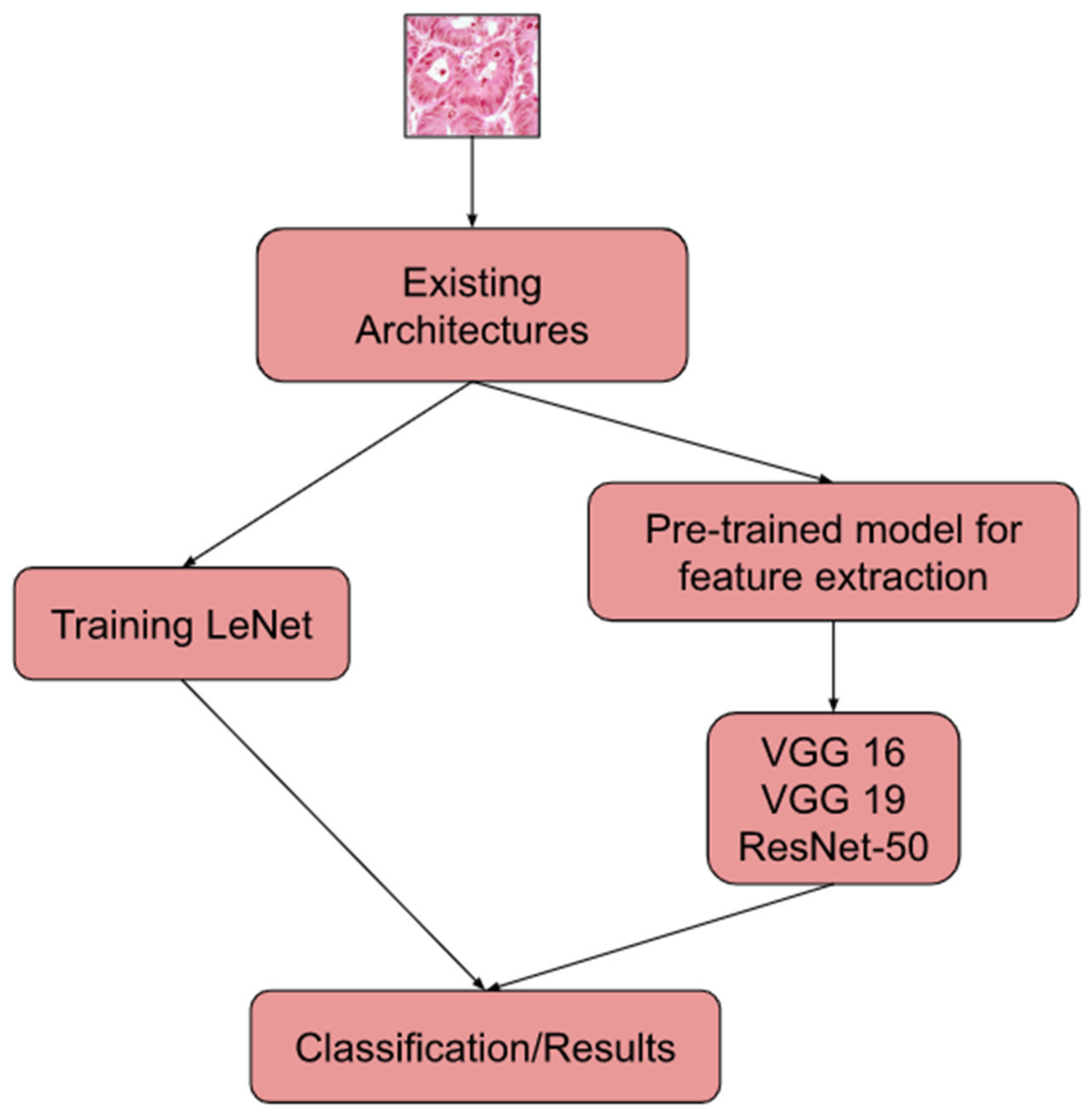 Sustainability 15 01399 g006