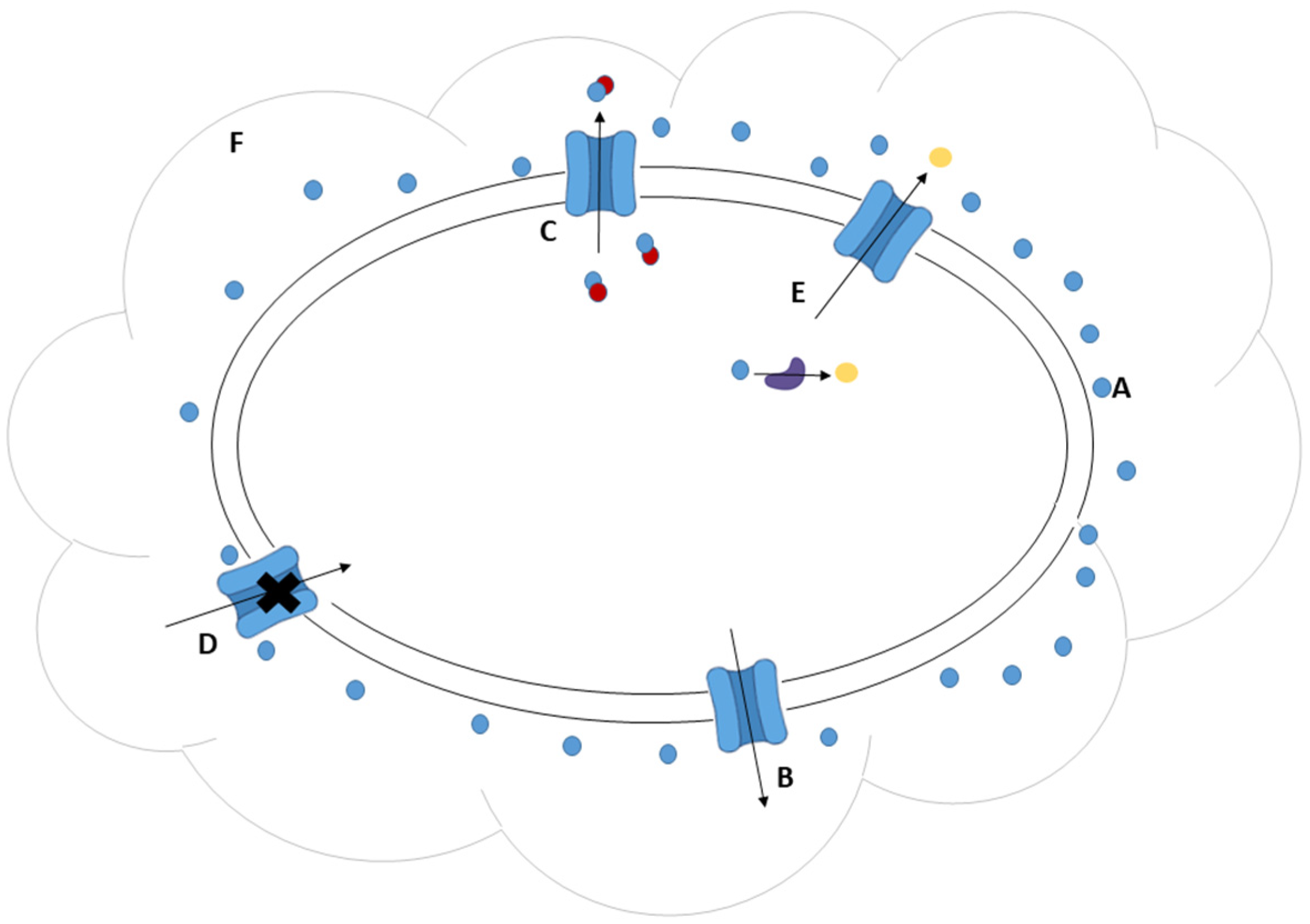 Sustainability 15 01411 g001